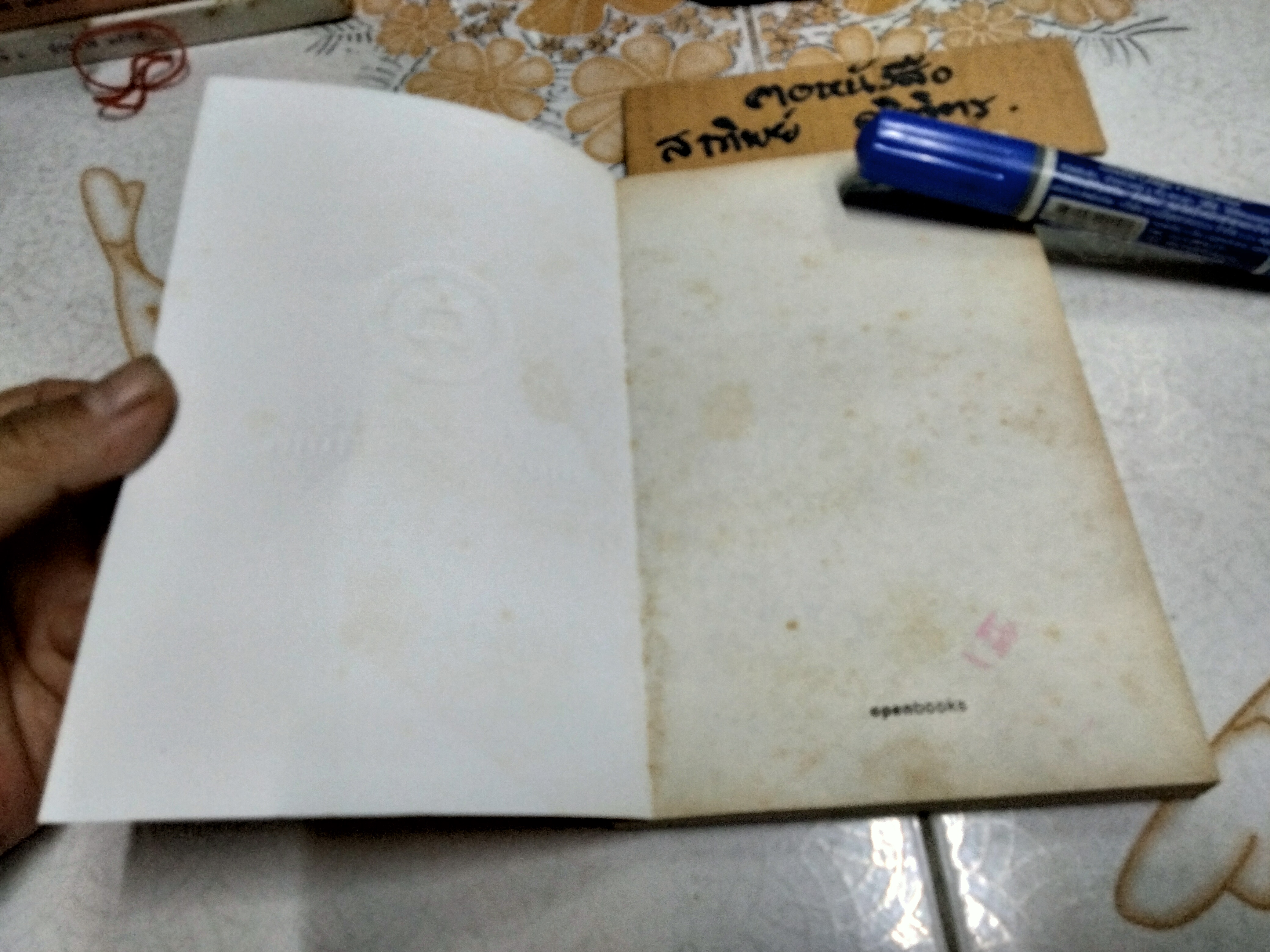 จีนในกระแสโลกาภิวัฒน์ China and Globalization โดย วรศักดิ์ มหัทธโนบล