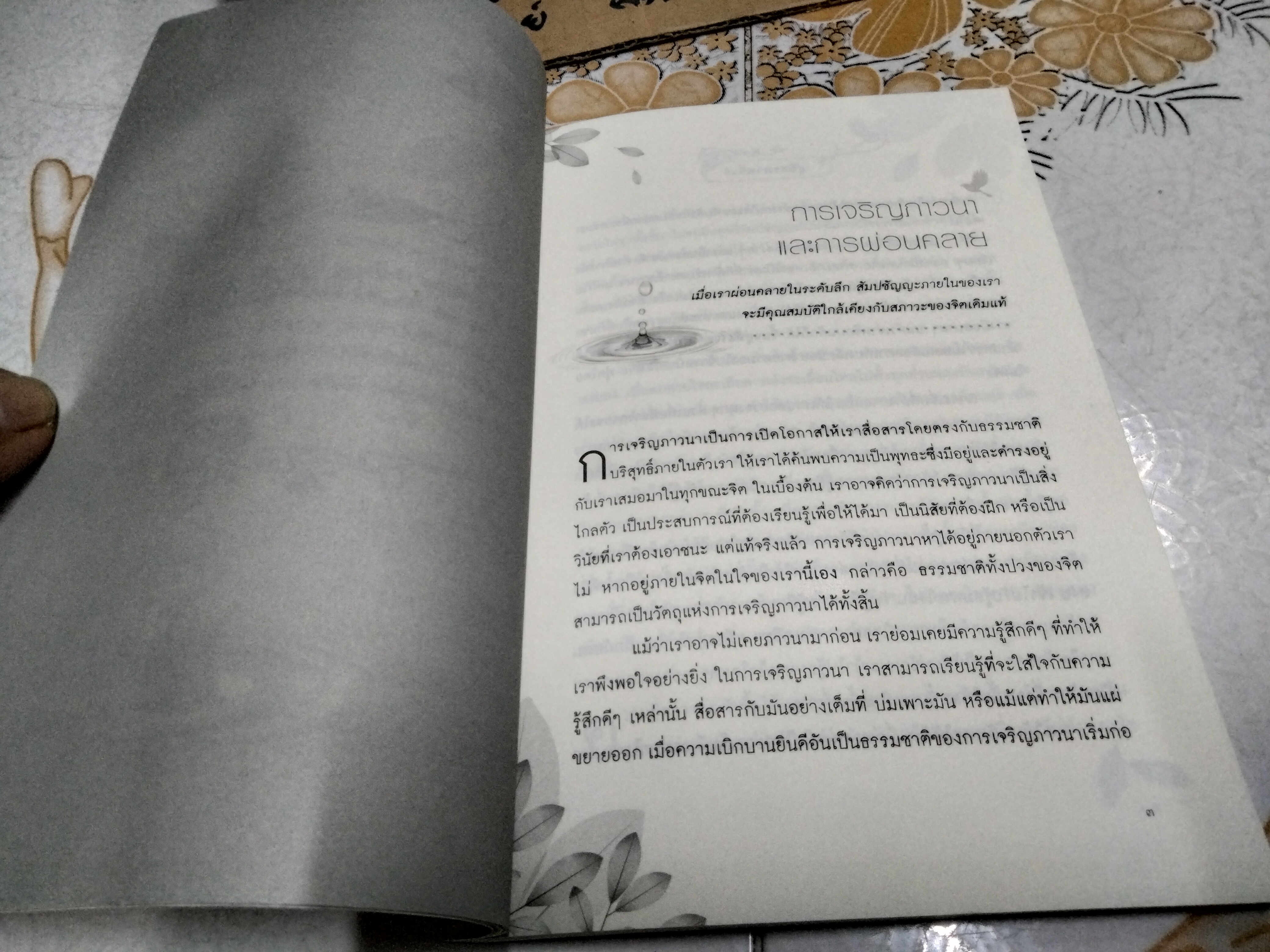 สู่อิสรภาพที่แท้ Hidden Mind of Freedom ตาร์ธาง ตุลกู เขียน / นัยนา นาควัชระ แปล **สินค้าหมด**