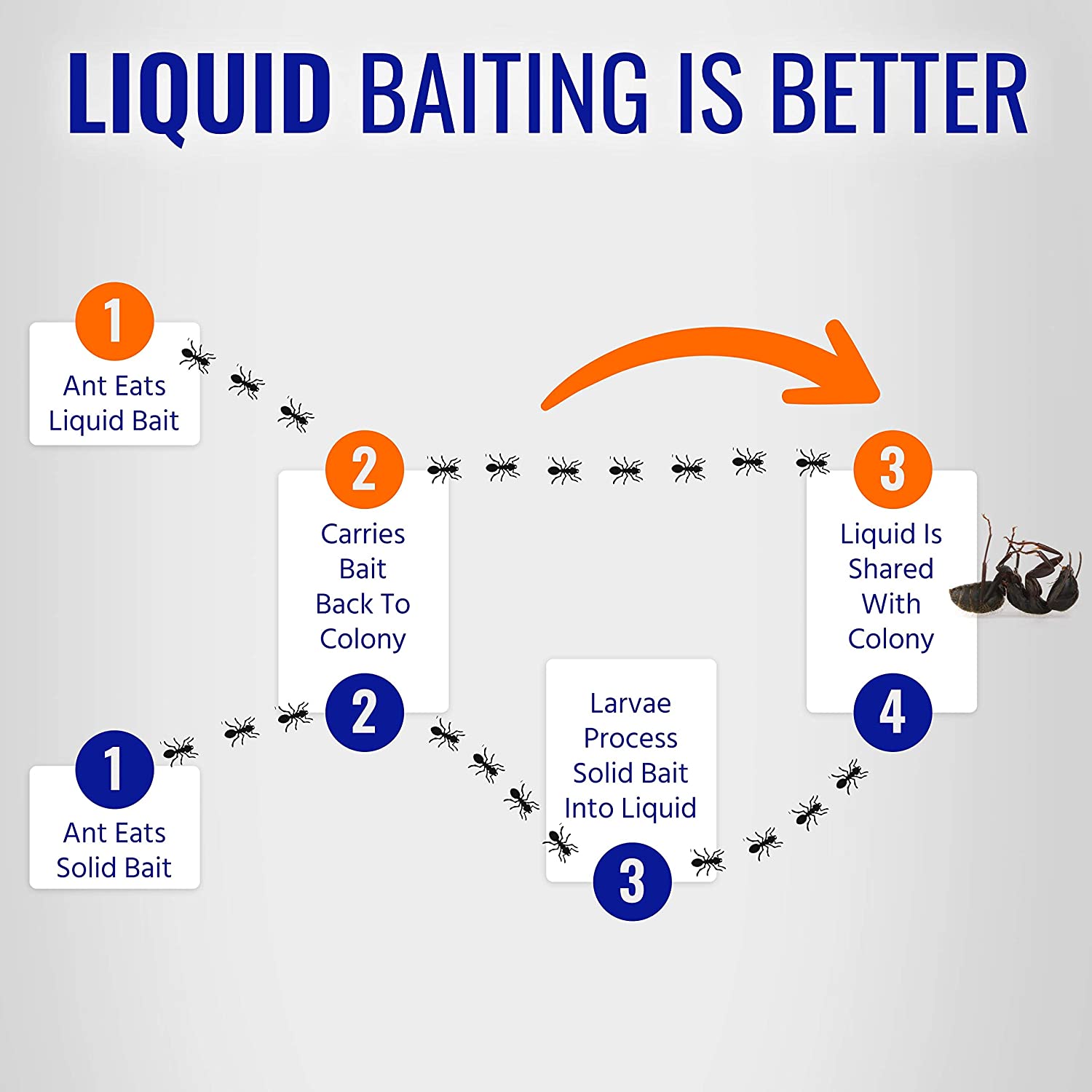 TERRO® T360 Ant & Roach Baits 4 Bait Stations ผลิตภัณฑ์กำจัดมดและแมลงสาบ