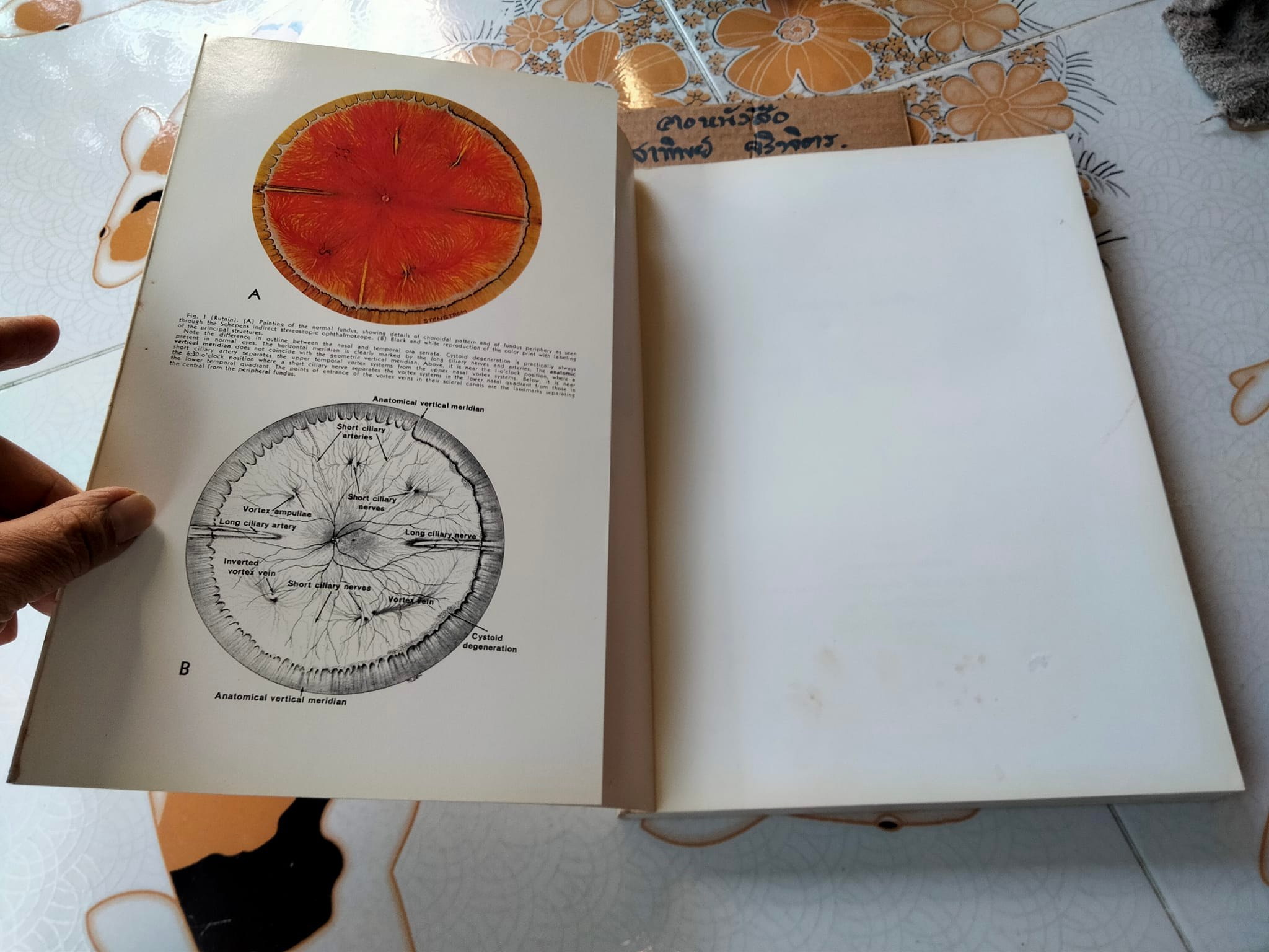 นัยน์กาย - นัยน์ใจ ของ รฦก งานพระราชทานเพลิงศพ ศาสตราจารย์ นายแพทย์อุทัย รัตนิน **สินค้าหมด**