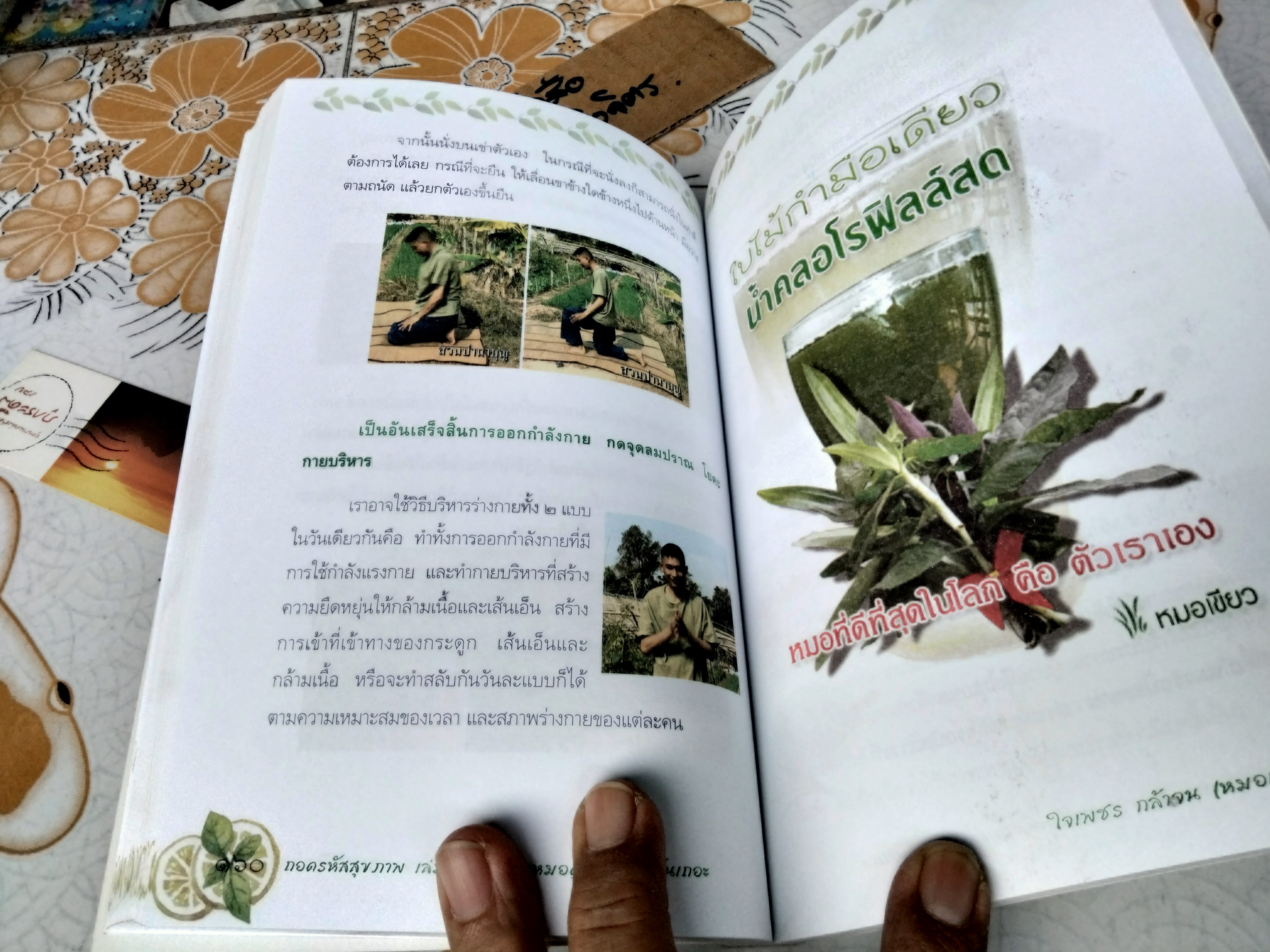 ถอดรหัสสุขภาพ เล่ม 3 มาเป็นหมอดูแลตัวเองกันเถอะ โดย หมอเขียว (ใจเพชร กล้าจน)