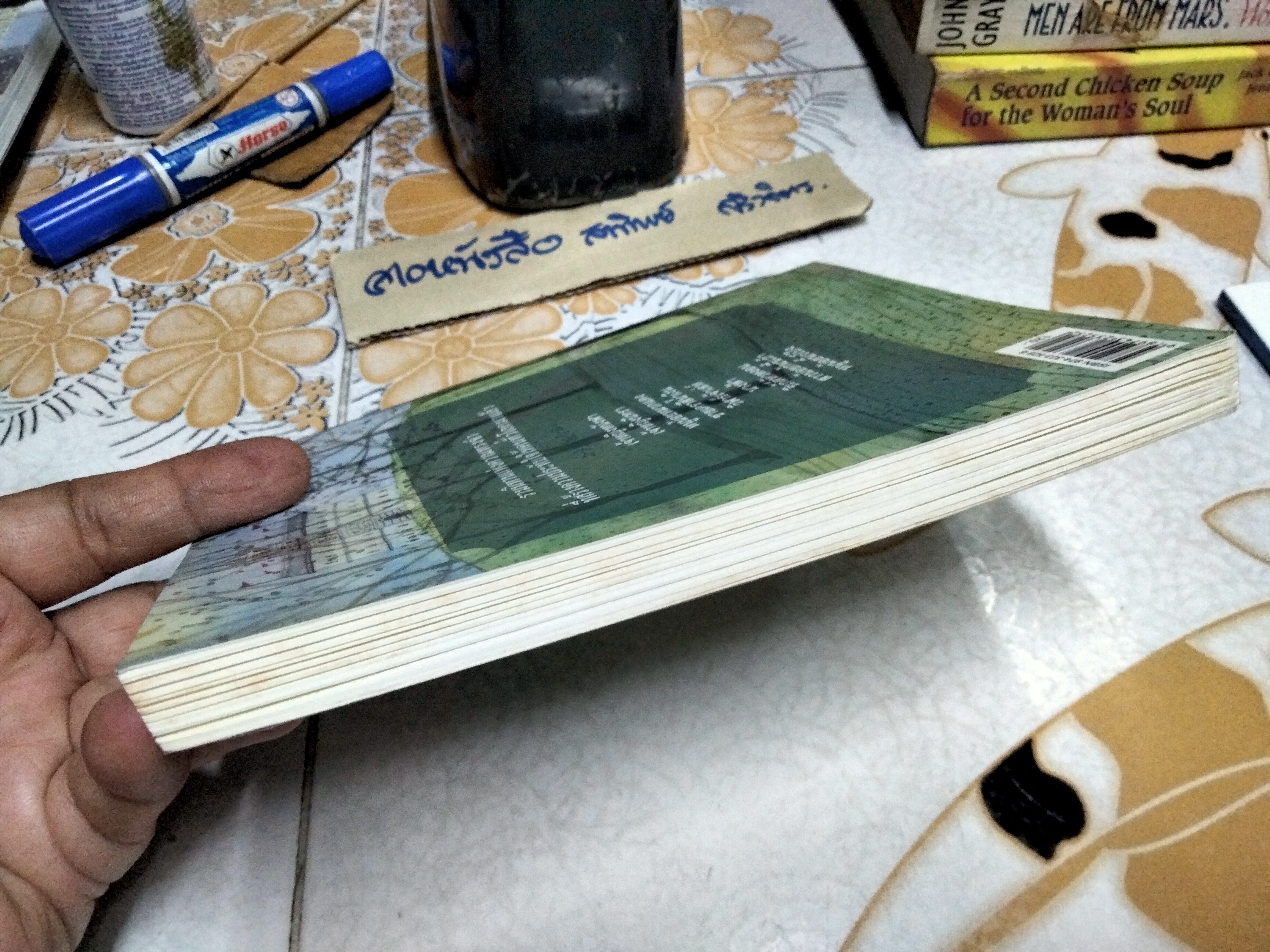 เจ้าหญิงหนังฬา ชาร์ลส์ แปร์โรลต์ เขียน นิสิตา แปลจากต้นฉบับภาษาฝรั่งเศส สำนักพิมพ์มติชน พิมพ์แรก 2548 **สินค้าหมด**