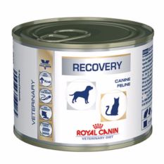 Royal Canin เปียกกระป๋อง Recovery