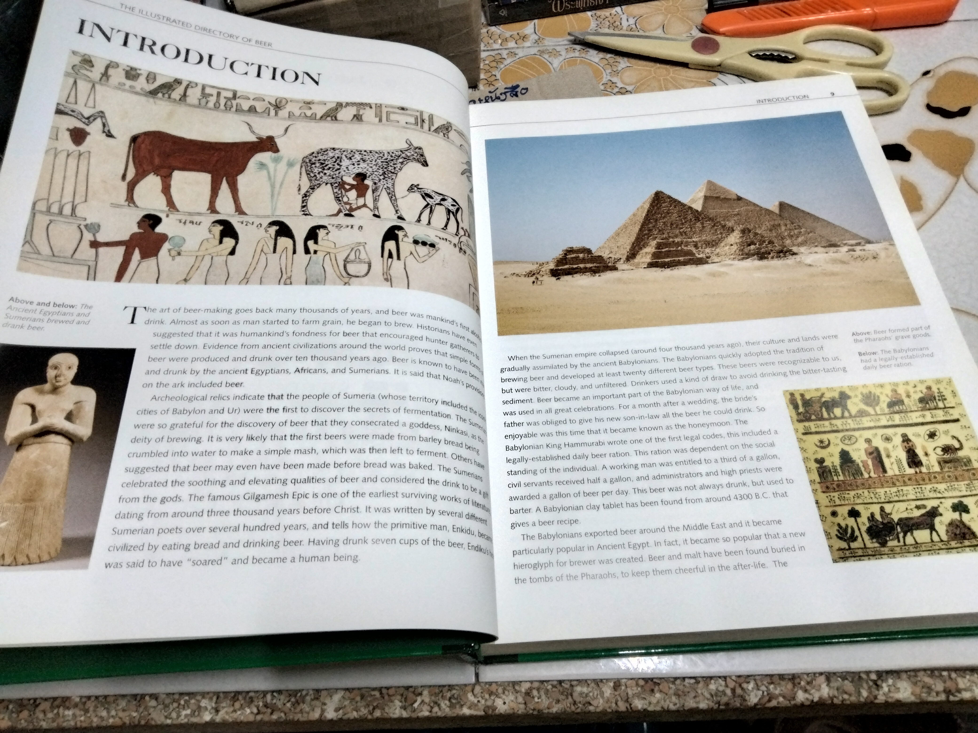 The Illustrated Directory of Beer -.A Beer lover's Guide to over 1, 500 Brews from Iconic Breweries to Artisan Beermakers **สินค้าหมด**