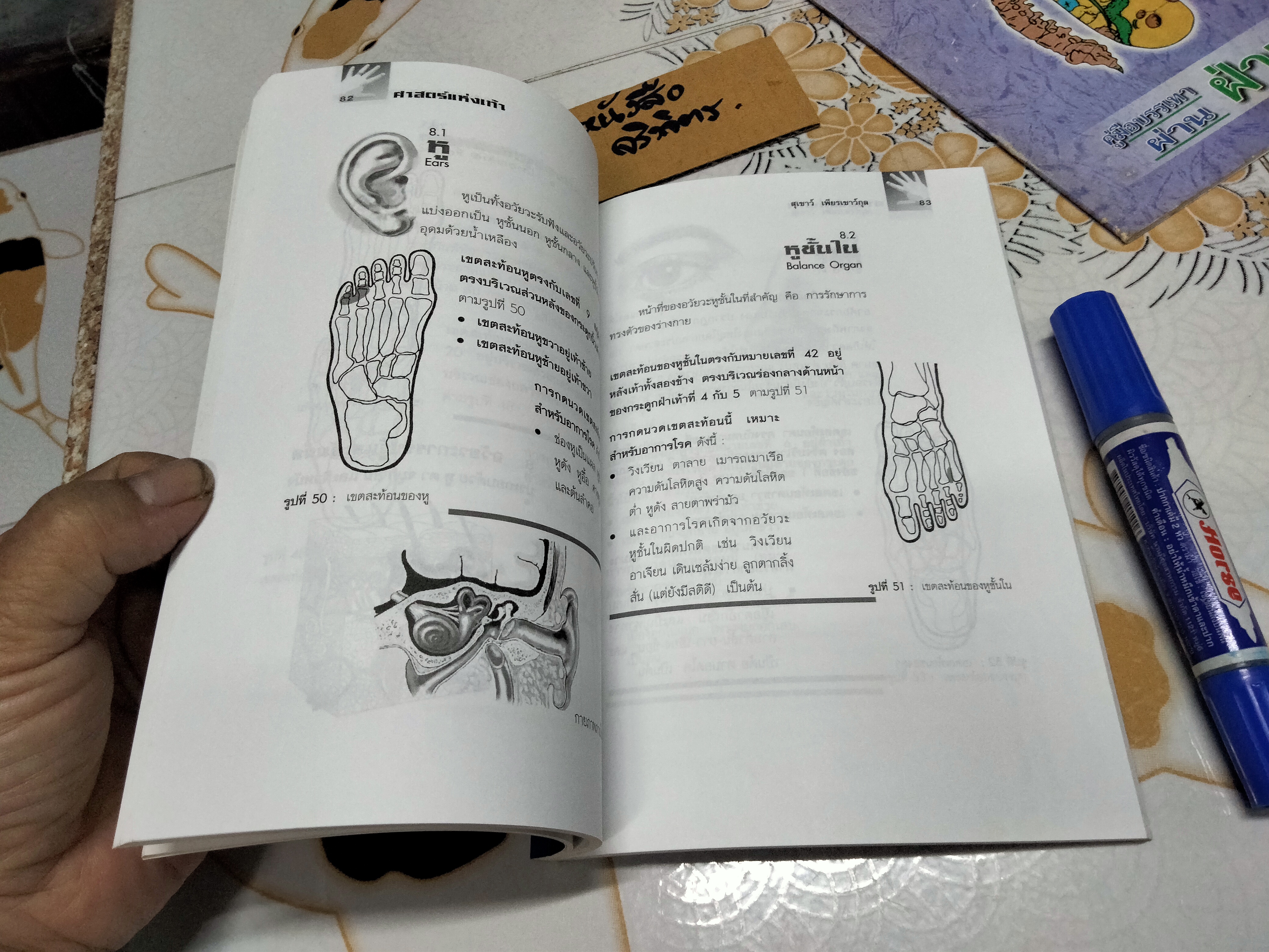 คู่มือหมอประจำครอบครัว ศาสตร์แห่งเท้า โดย สุเชาว์ เพียรเชาว์กุล **สินค้าหมด**