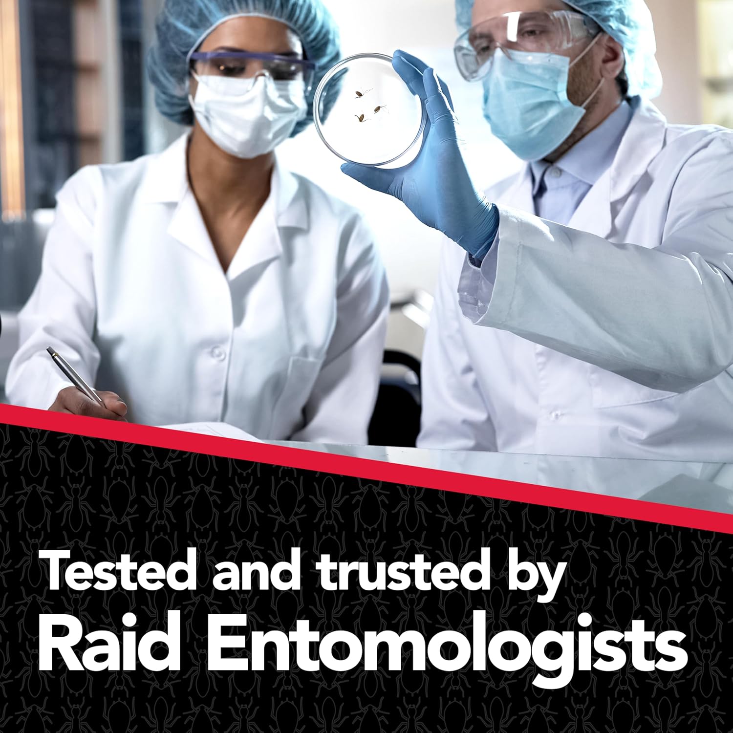 Raid® Max Liquid Ant Bait Kills the Queen and Colony ผลิตภัณฑ์กำจัดมด