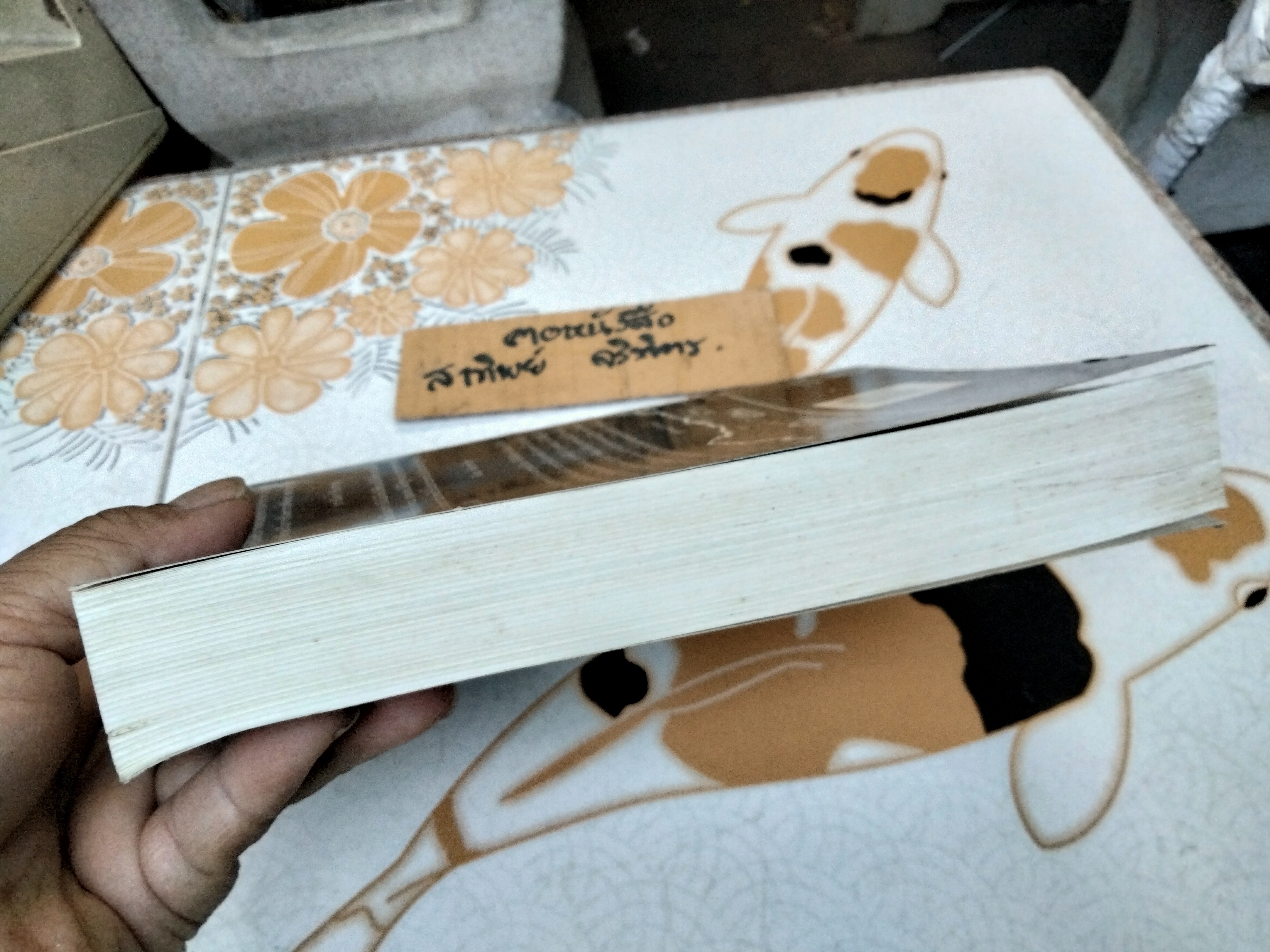 โศกนาฏกรรมสยาม -การพัฒนาและการแตกสลายของสังคมไทยสมัยใหม่ โดย วอลเดน เบลโล. เชียร์ คันนิงแฮม, ลี เค็ง ปอห์ สุรนุช ธงศิลา แปล **สินค้าหมด**