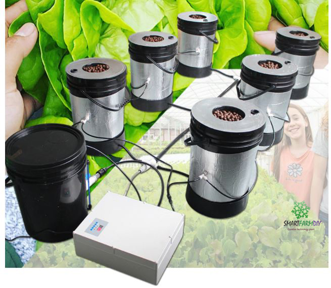 ระบบปลูกแบบ Aeroponics 6Pcs 5 Gallon Bucket