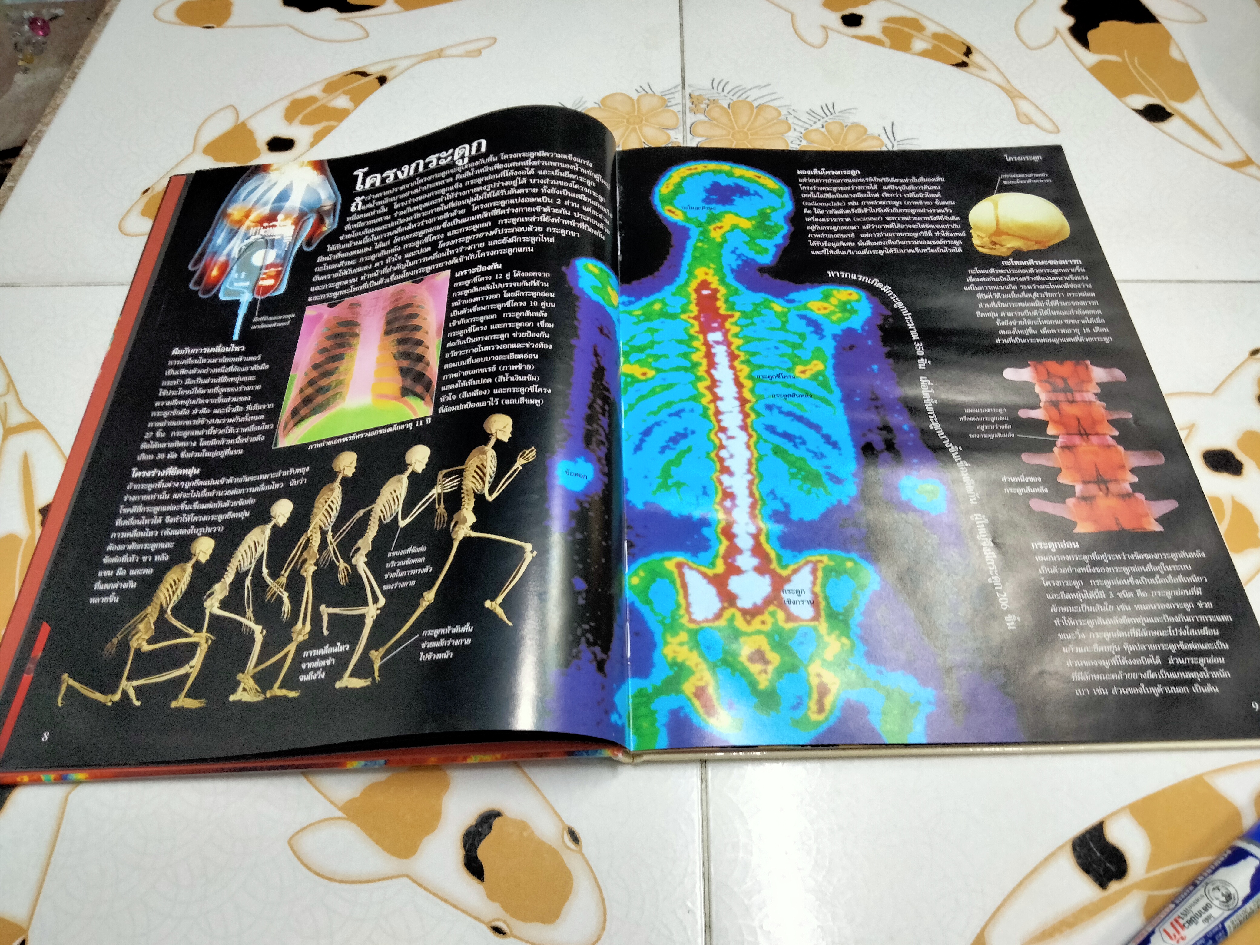 NANMEEBOOKS พาไปพบร่างกาย - Richard Walker เขียน, มีนา โอวราวินทร์ แปล (มีตราประทับจากห้องสมุดที่ใบรองปกหน้าและหลัง)