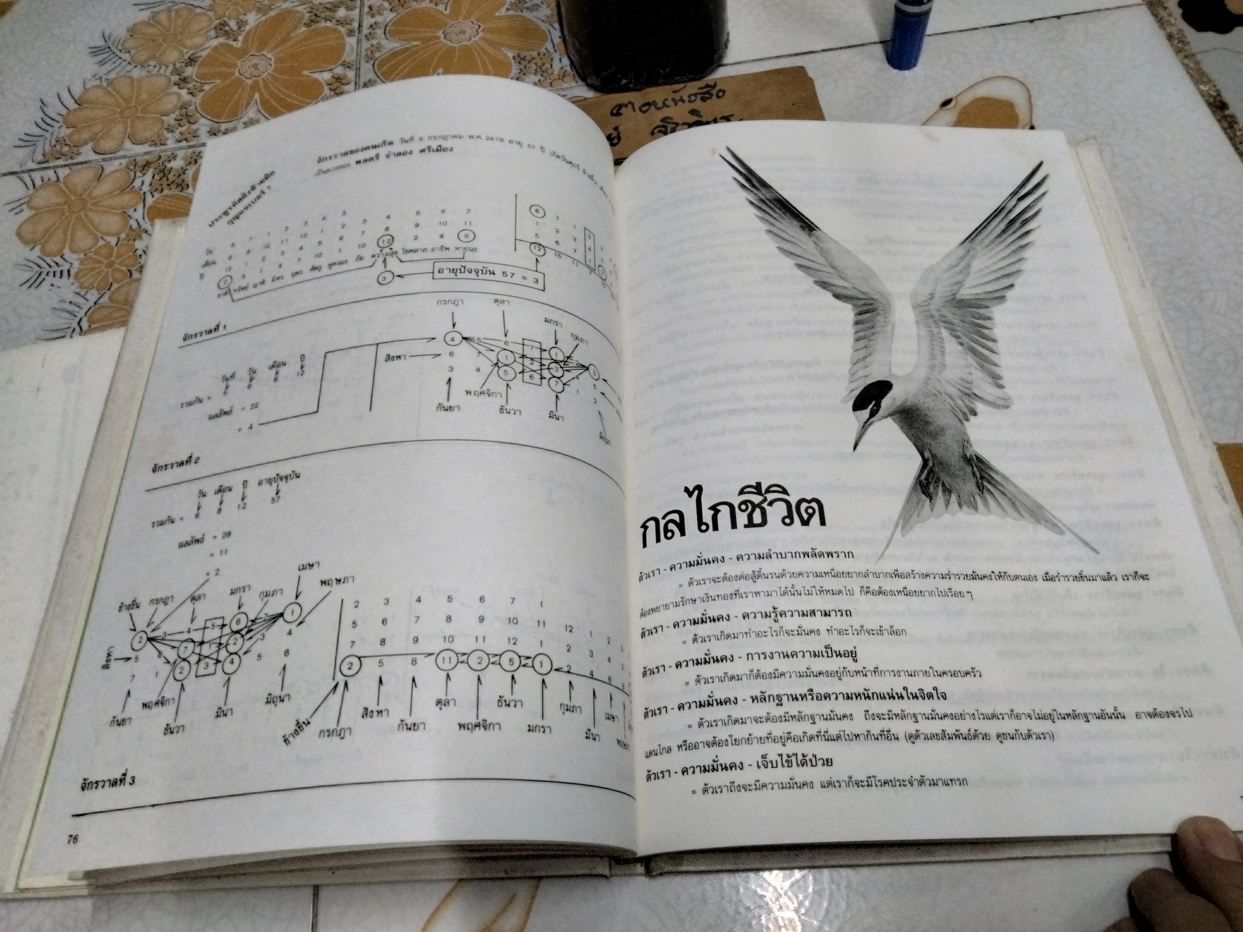 ตำราโหราศาสตร์ ว่าด้วยวิชาตัวเลข รหัสชีวิต แห่งจักรวาล (พร้อมใบแทรกเพิ่มเติม) โดย วิสาระ ประนมกรณ์ พิมพ์ครั้งแรกพ.ศ 2534 (มีรอยแหว่งเล็กน้อย) **สินค้าหมด**