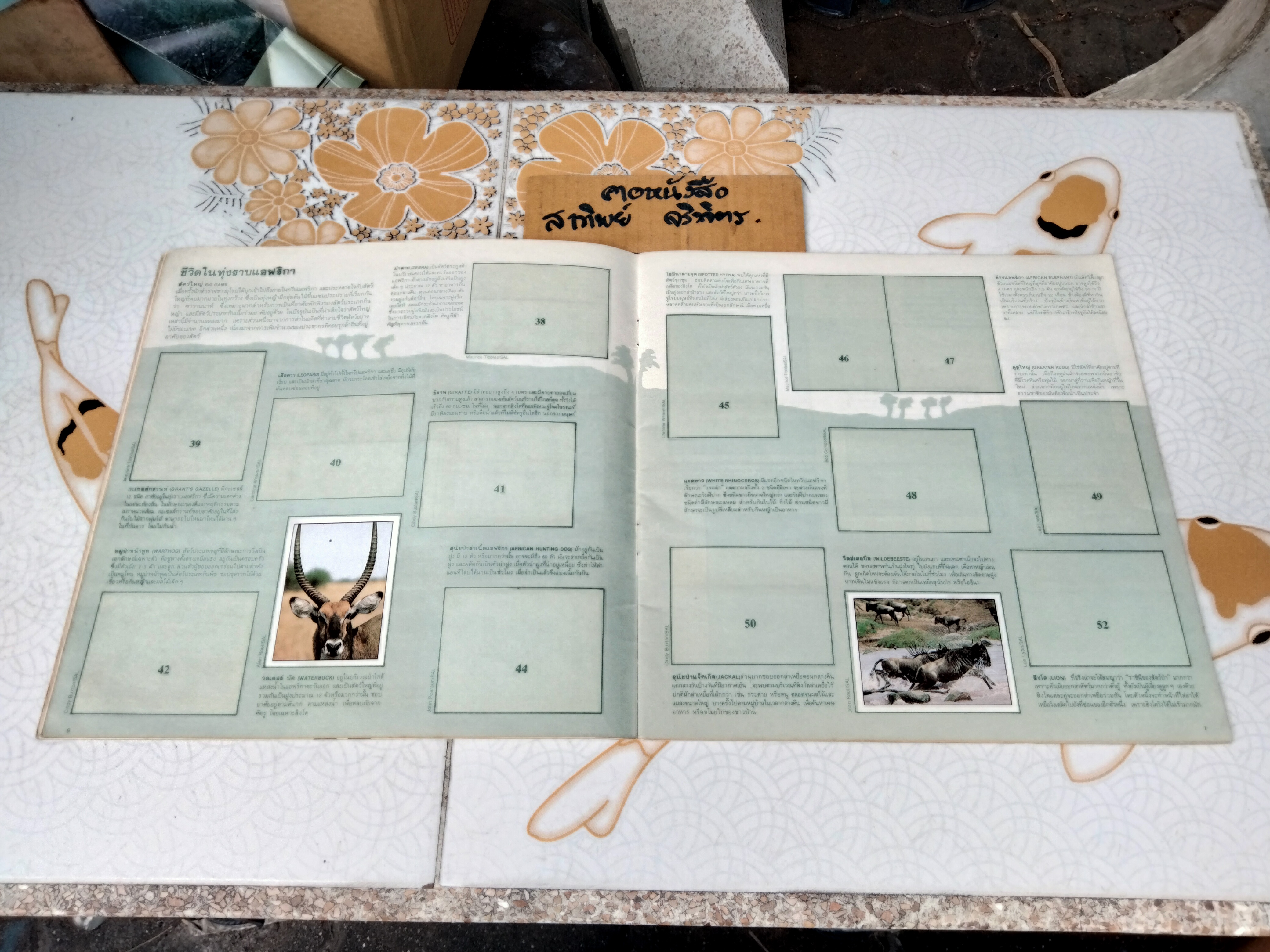 สมุดสะสมสติกเกอร์ ชีวิตสัตว์โลก (แปะไป 66 รูป/ 240 รูป)