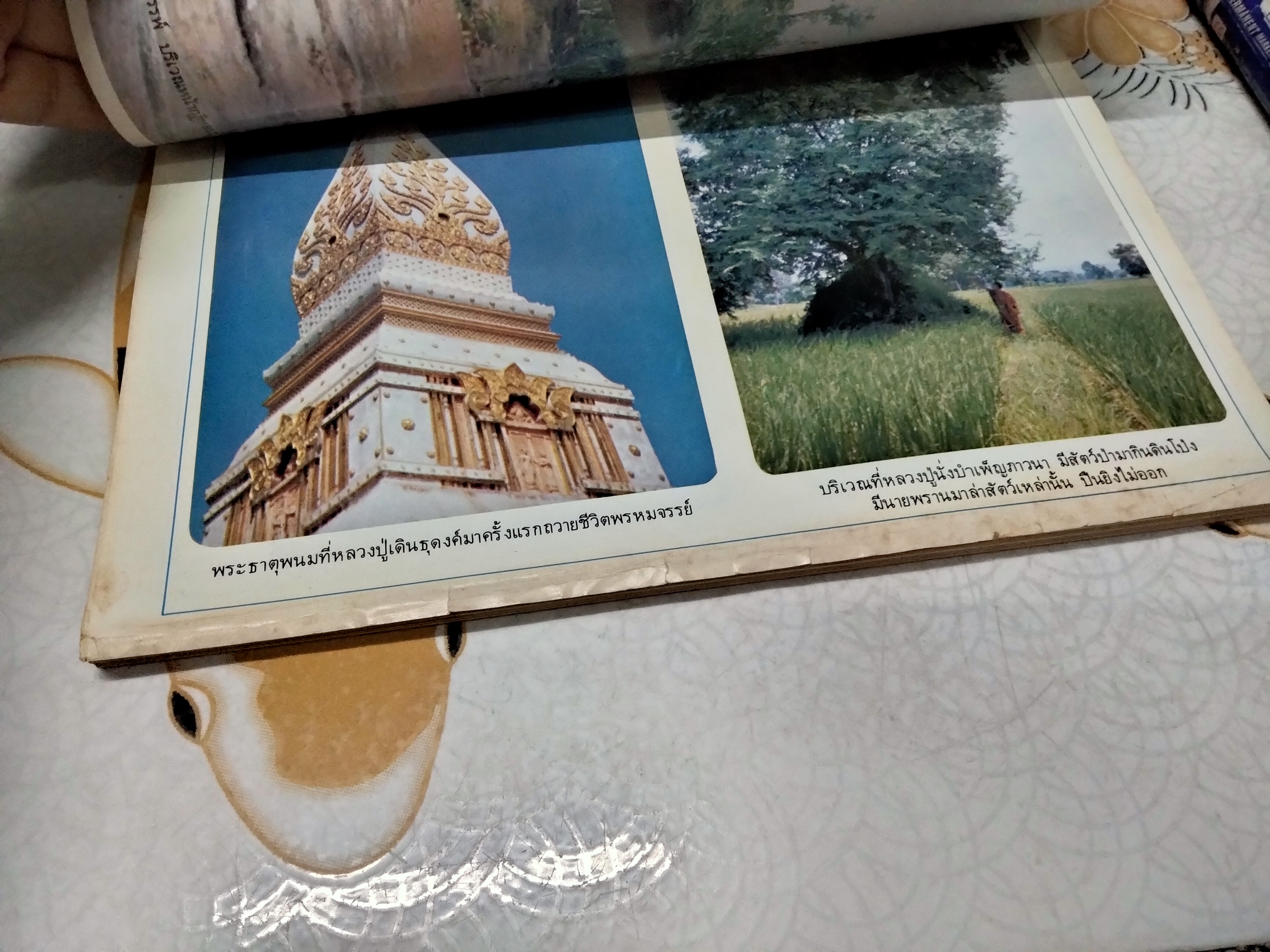 อนุสรณ์งานพระราชทานเพลิงศพ หลวงปู่ขาว อนาลโย วัดถ้ำกลองเพล 11 กุมภาพันธ์ 2527