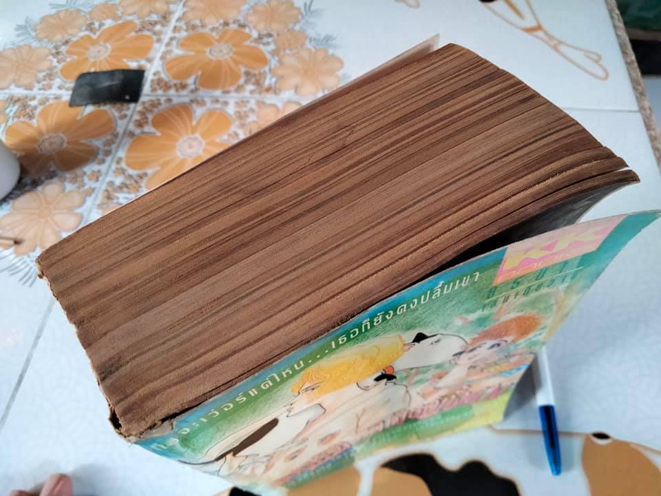 มอบหัวใจ..ให้เธอทั้งดวง (เล่มเดียวจบ) ยาจิ เอมิโกะ