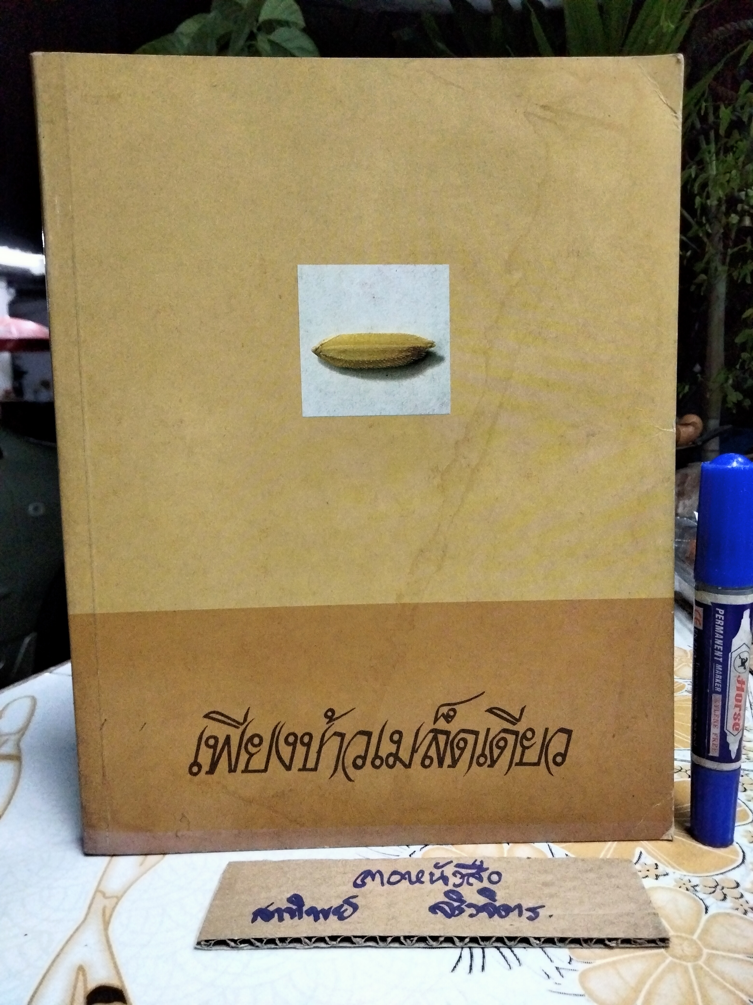 เพียงข้าวเมล็ดเดียว โดย ศาสตราจารย์ ระพี สาคริก พิมพ์ พ.ศ.2525 **สินค้าหมด**
