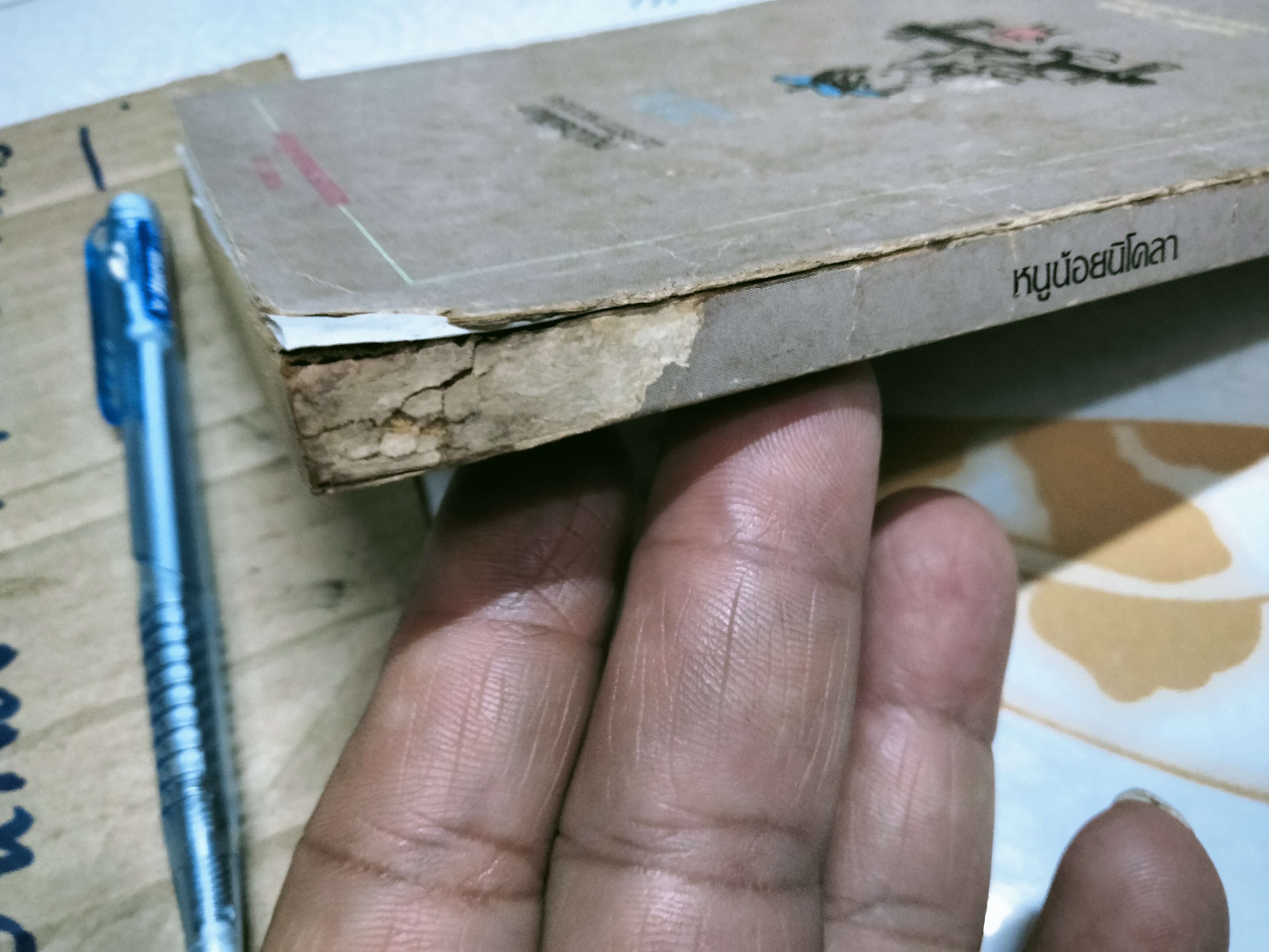 หนูน้อยนิโคลา Le Petit Nicola **สภาพพอใช้ (สินค้าหมด)