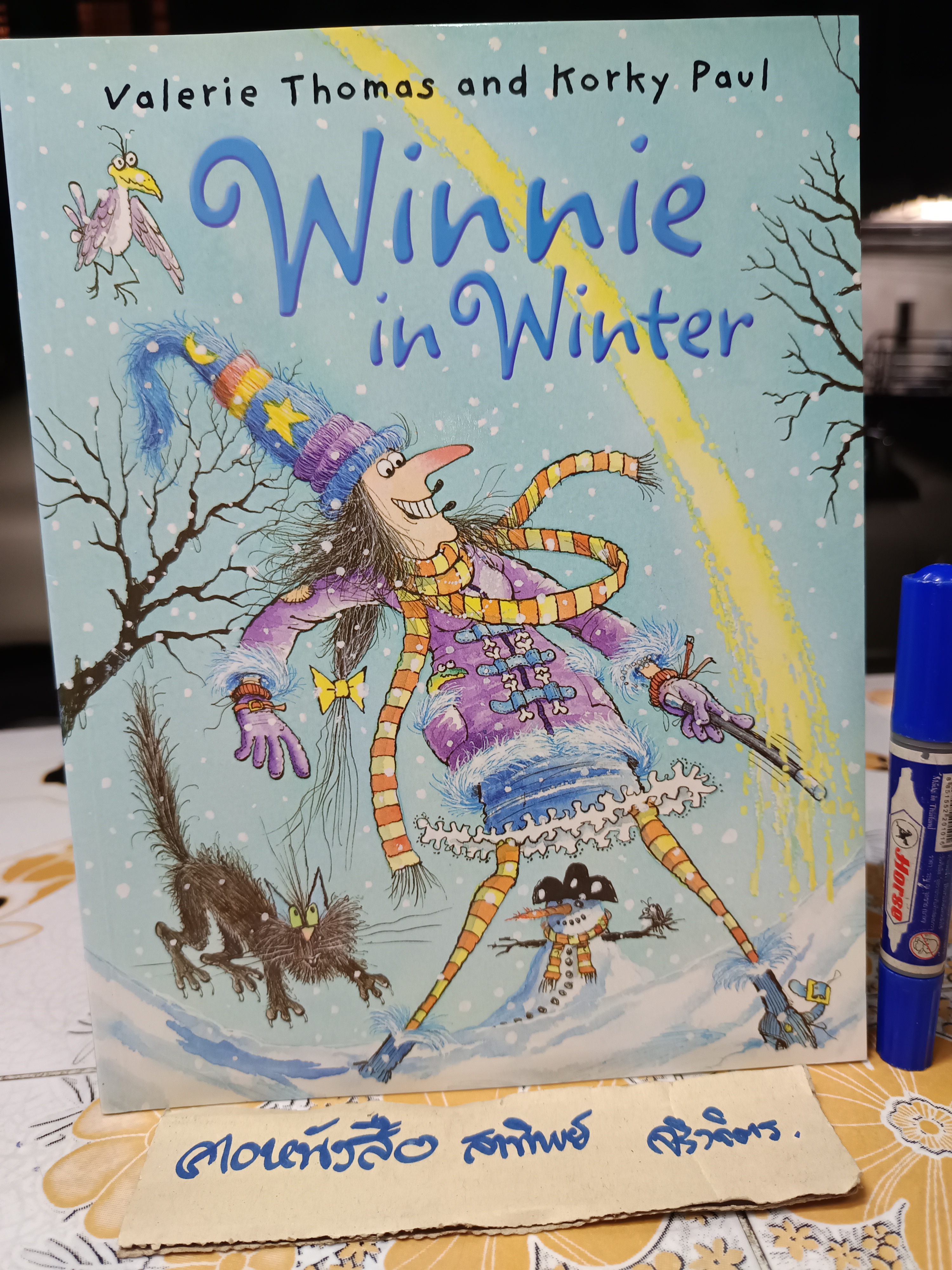 Winnie in Winter, Winnie the Witch Series