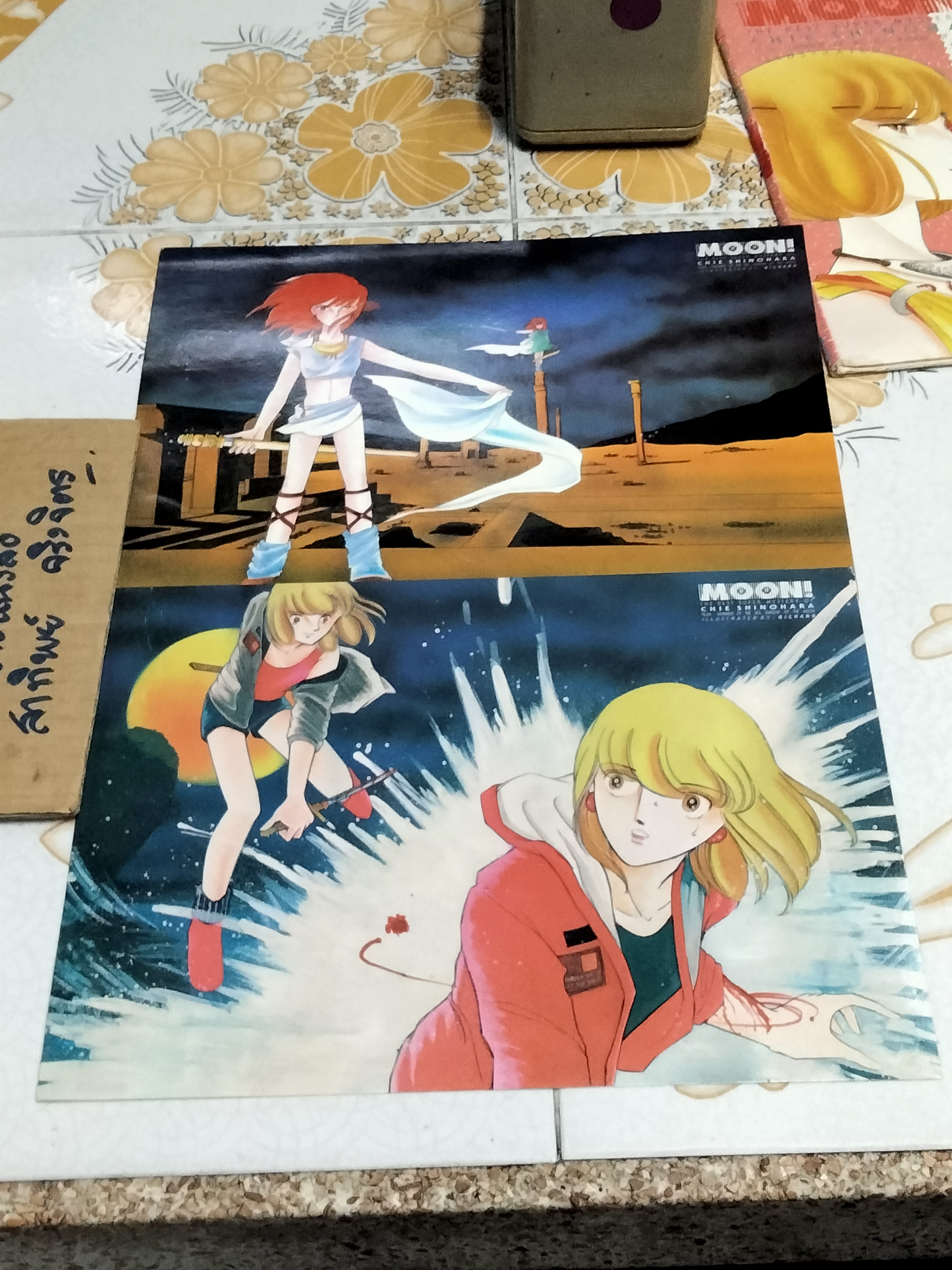 อัลบั้มภาพสี ( Moon ) คืนพระจันทร์เลือด THE BEST SUPER MYSTERY OF CHIE SHINOHA (มีแค่ 8 ใบ- จาก 10 ใบ , ไม่มี note book)