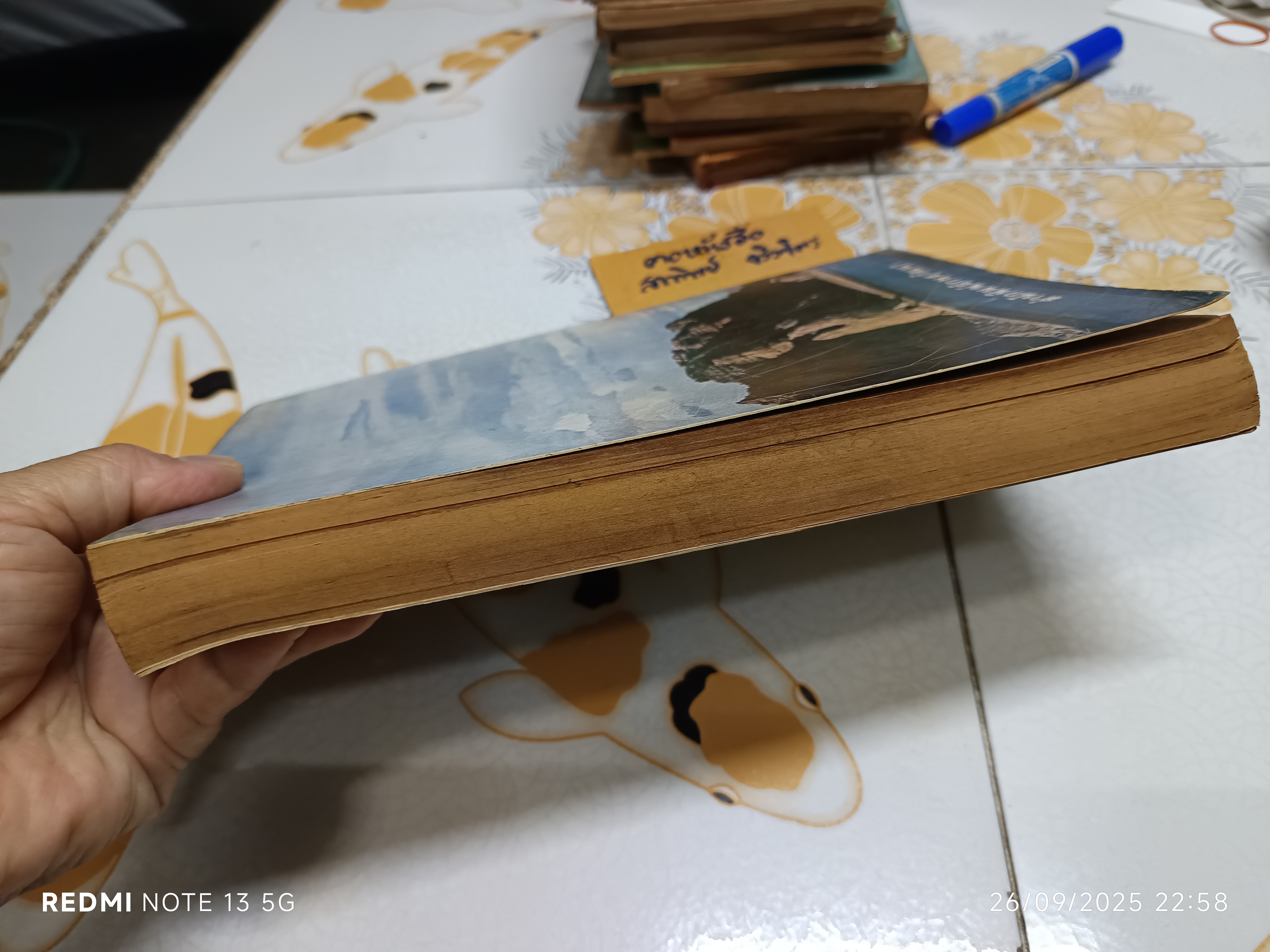 ภูมิศาสตร์กายภาพ Physical Geography โดย ผู้ช่วยศาสตราจารย์ ดร. ธวัช บุรีรักษ์ พิมพ์ พ.ศ. 2520 **สินค้าหมด**