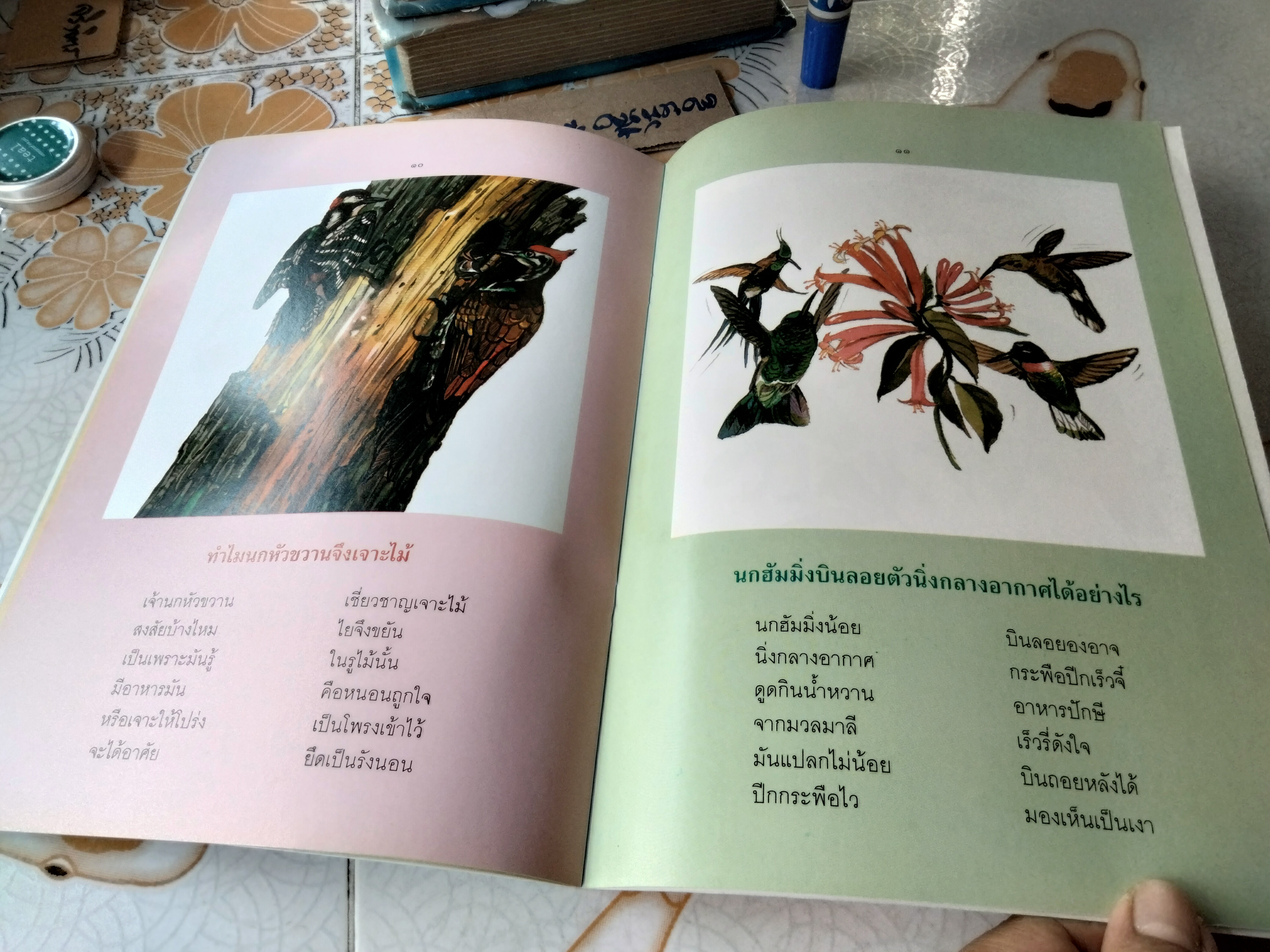 ชุดธรรมชาติน่ารู้ ปักษาน่าสนใจ อภิวรรณ วีระสมิทธ์ เรื่อง อดุลย์ กล่ำนาค ภาพ