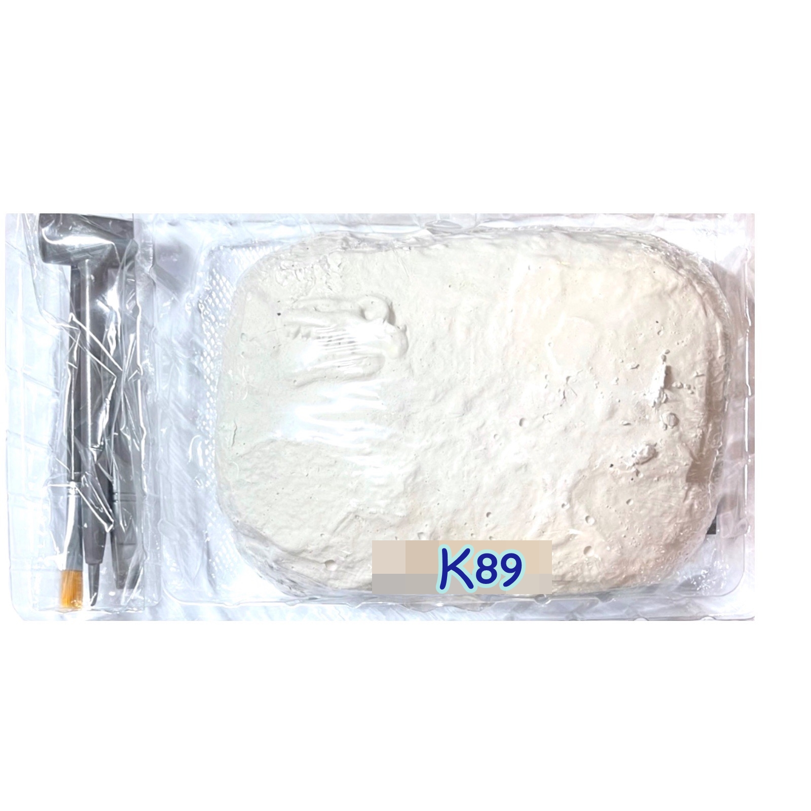 ชุดขุดฟอสซิลไดโนเสาร์