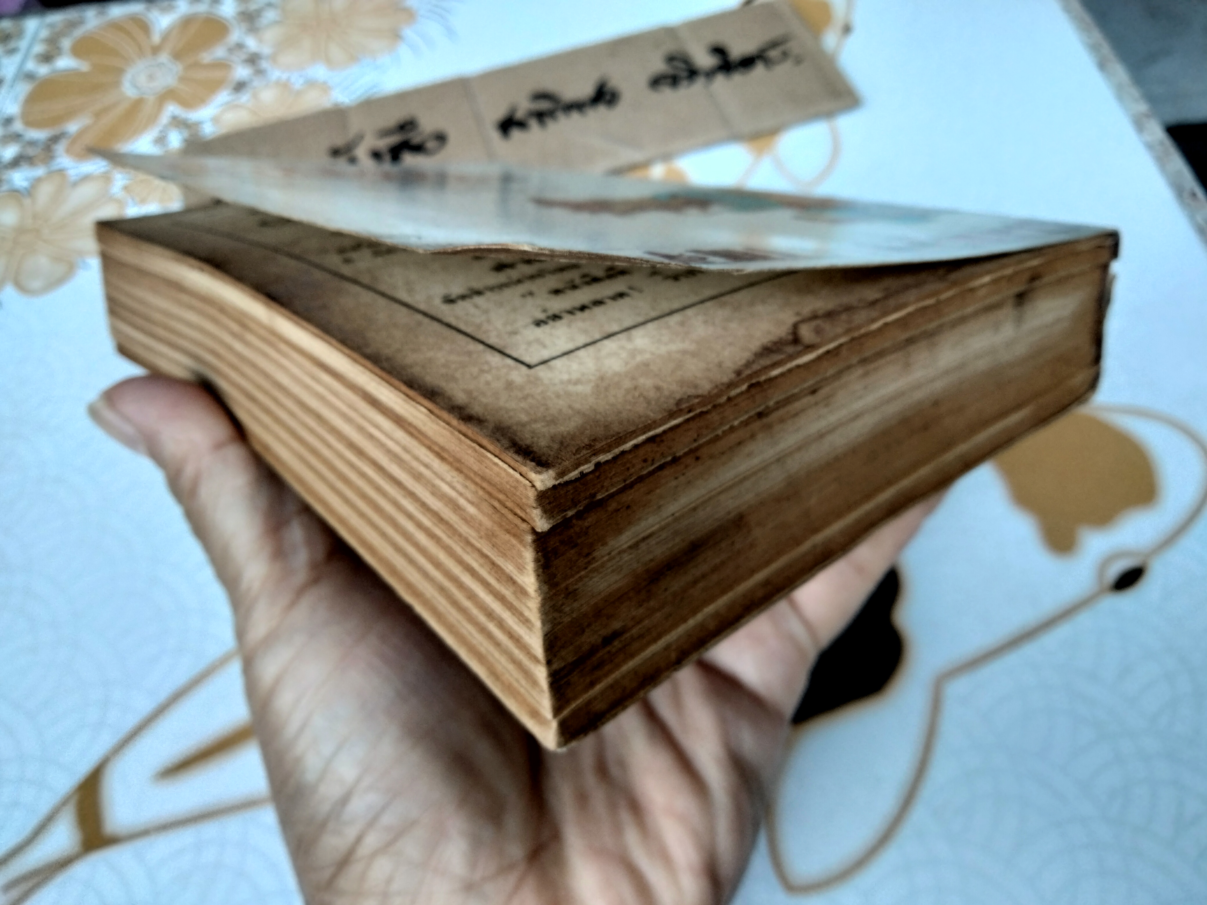 เดอะโกลเด้นฟาโรห์ (THE GOLDEN PHARAOH)