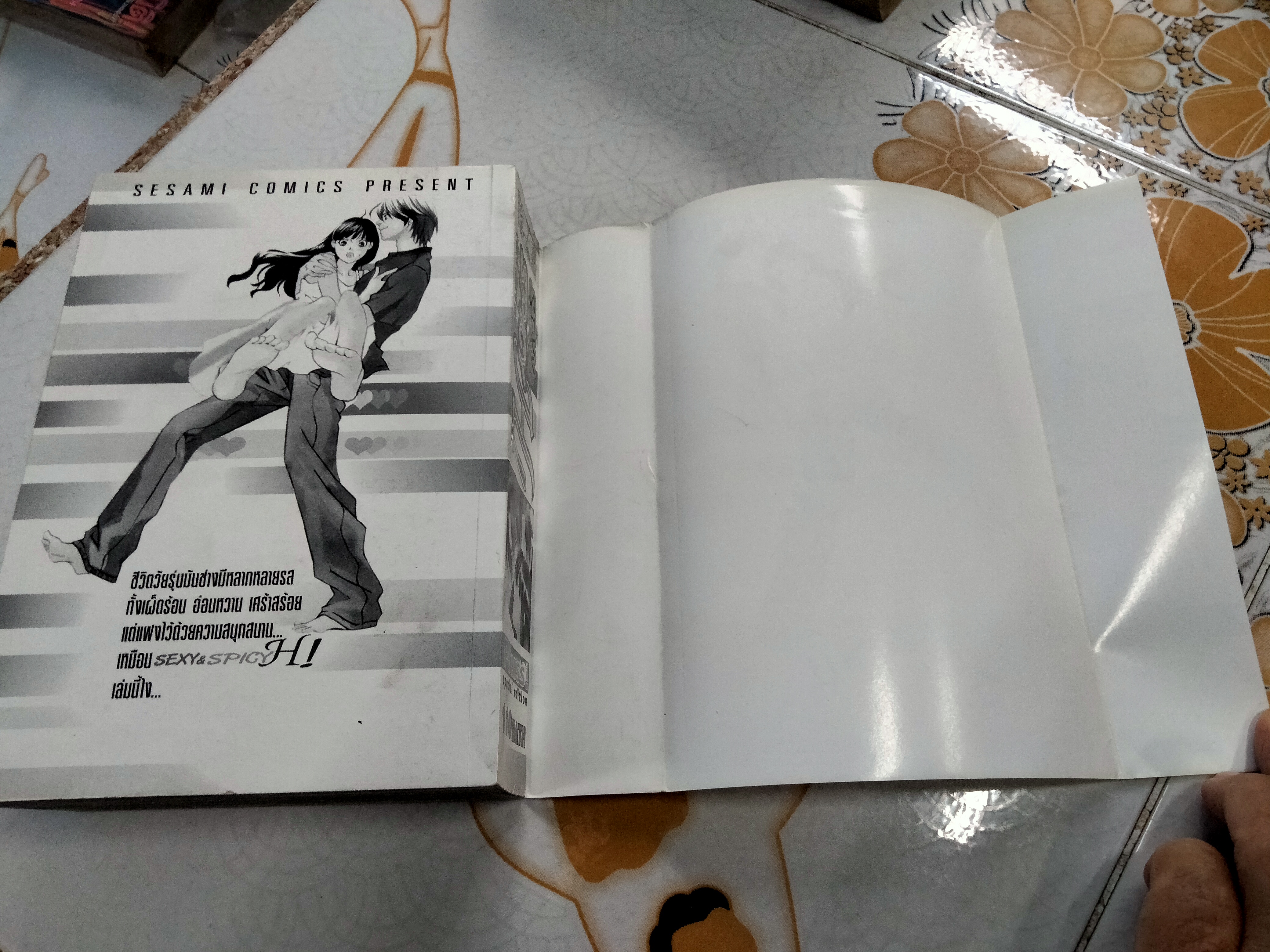 SEXY & SPICY H (เล่มเดียวจบ) **สินค้าหมด**