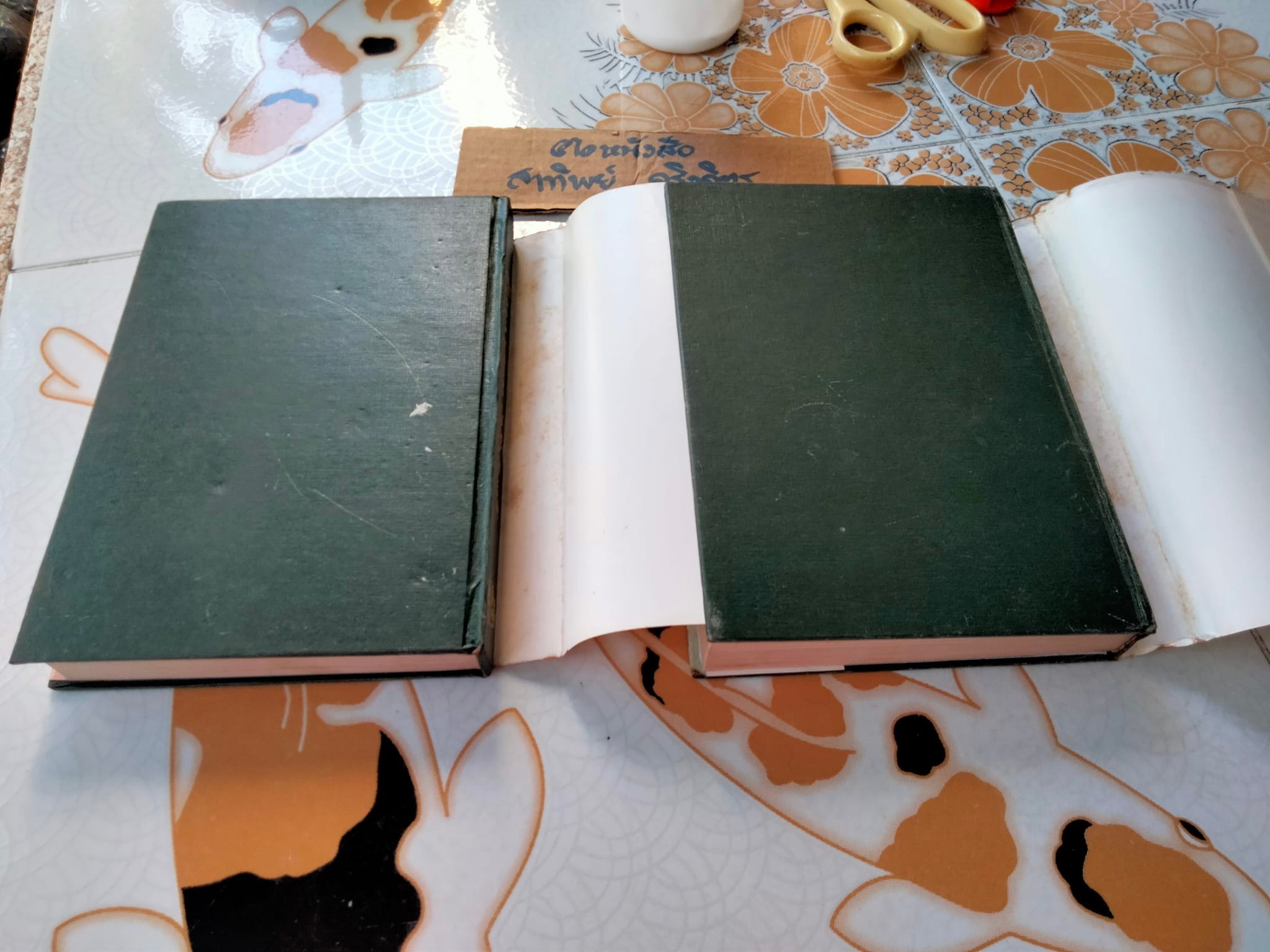 ริษยา ( 2 เล่มจบ) - จุลลดา ภักดีภูมินทร์ - สนพ.บำรุงสาส์น จัดพิมพ์ พ.ศ. 2521 **สินค้าหมด**