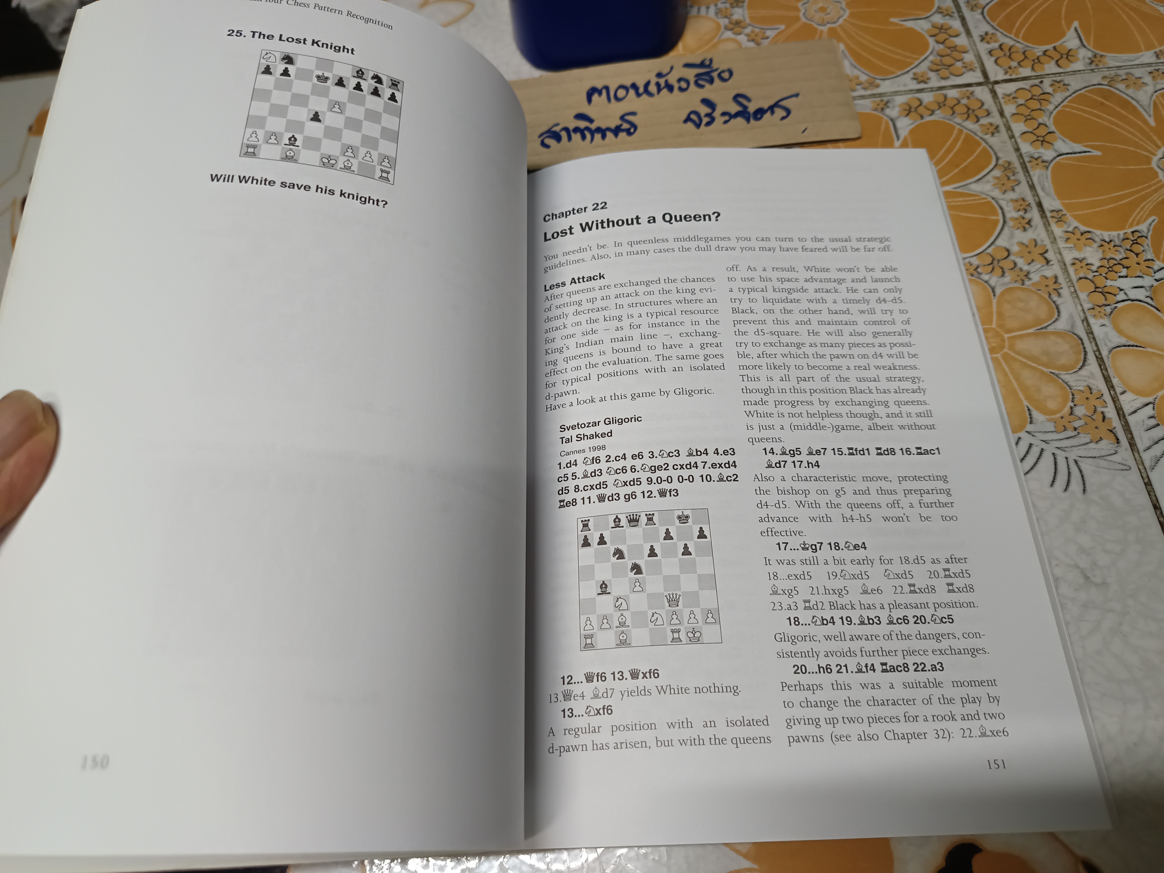 Train Your Chess Pattern Recognition Arthur Van De Oudeweetering **สินค้าหมด**