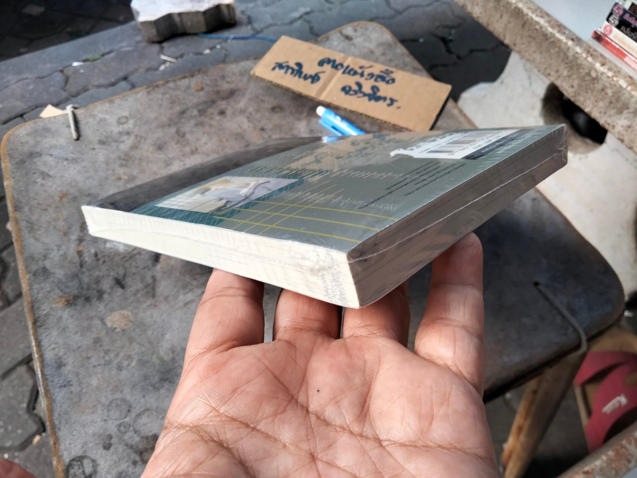 ลุ้นรักอาณาจักรแมวเหมียว (มือหนึ่งในซีล) - RIO SUGIHARA , พรรณพิสุทธิ์ โภชนสมบูรณ์ แปล