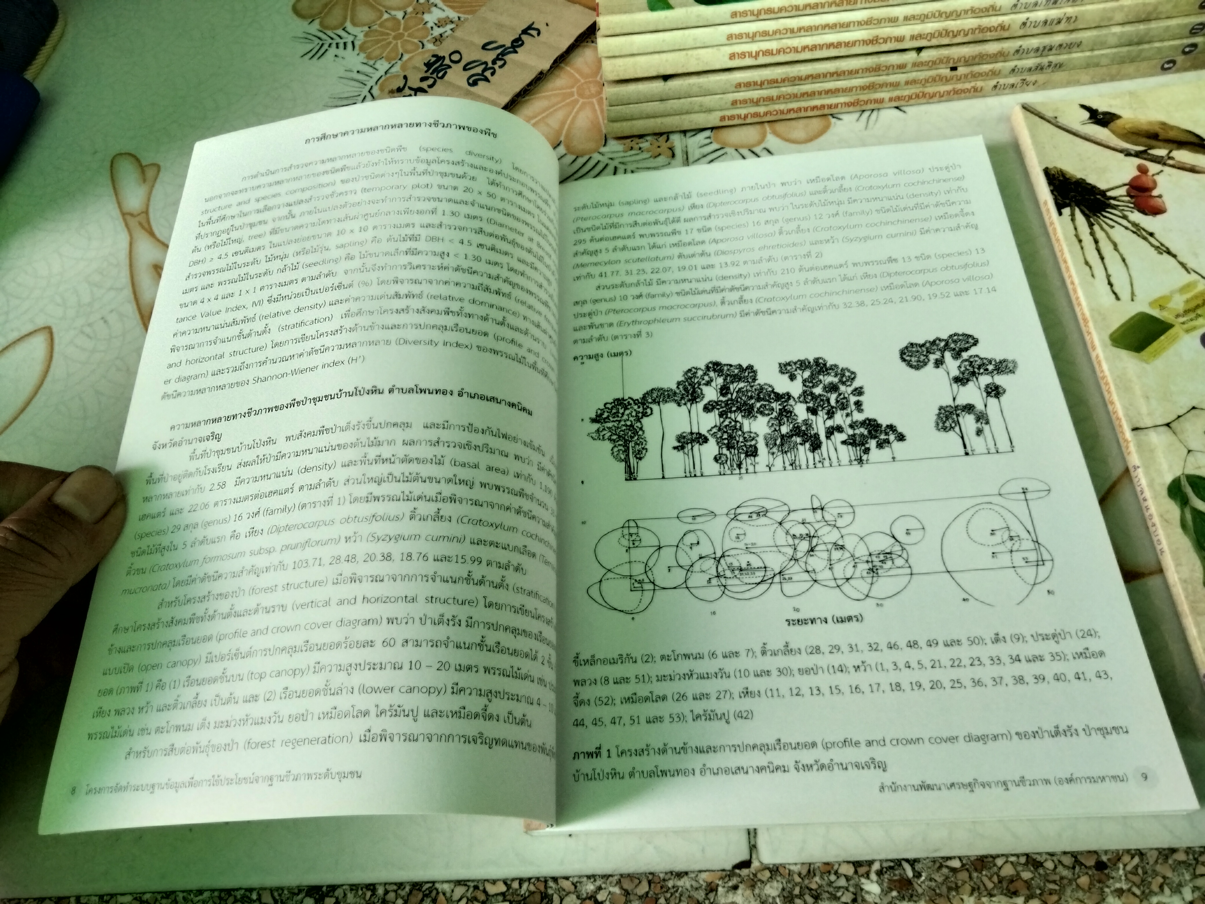 สารานุกรมความหลากหลายทางชีวภาพและภูมิปัญญาท้องถิ่น 20 ชุมชน (มีแค่ 8 เล่ม จาก 20 เล่ม/ชุด)