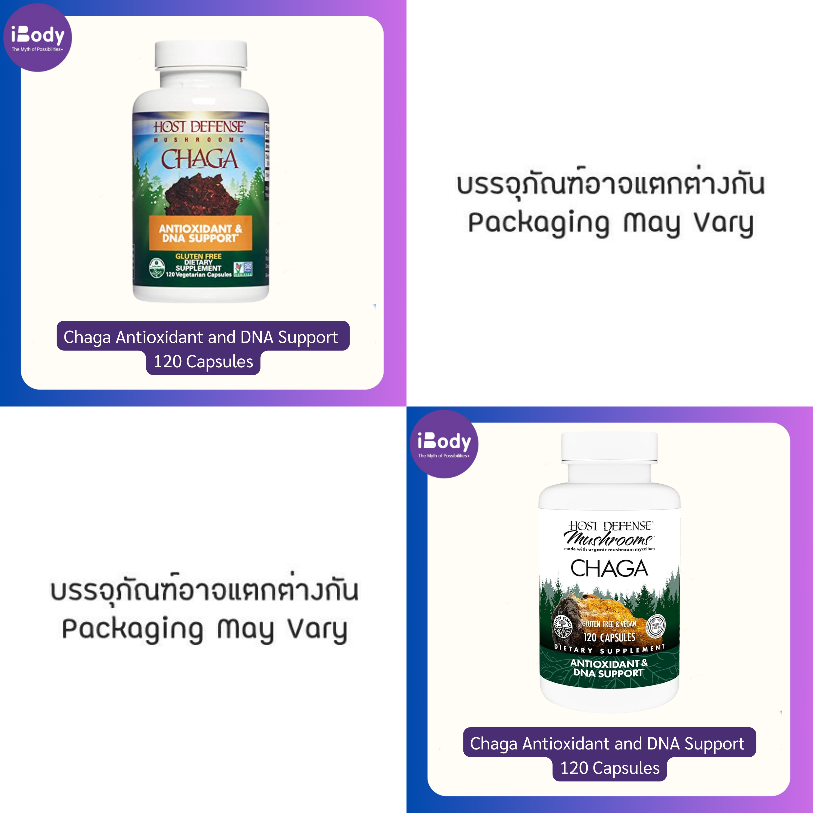 เห็ดหิ้งไซบีเรีย ชาก้า Chaga Antioxidant and DNA Support 120 Capsules (Host Defense™)