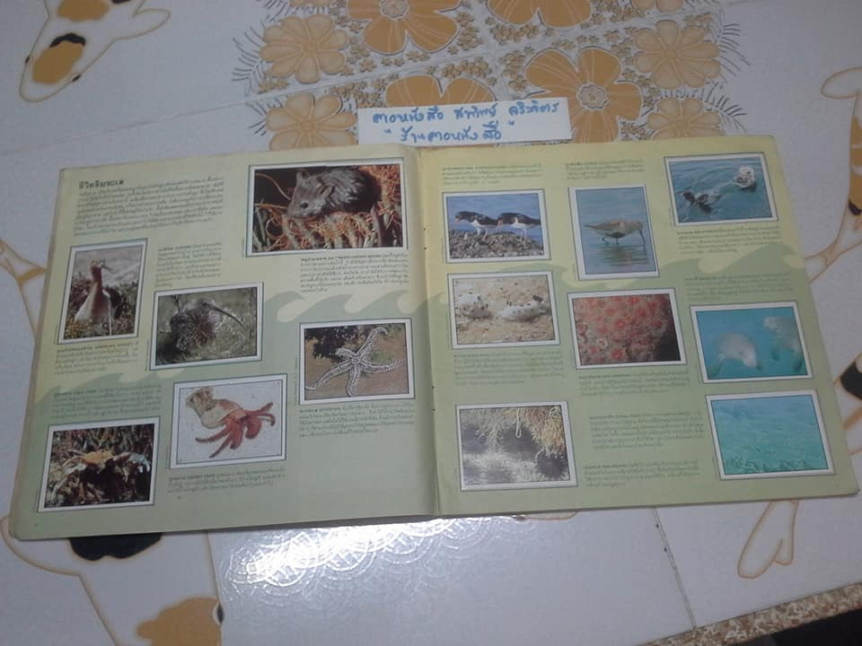 สมุดสะสมสติกเกอร์ ชีวิตสัตว์โลก - แปะครบ (ตัวเล่มมีคราบน้ำ มุมบนมีรอยยับ) **สินค้าหมด**