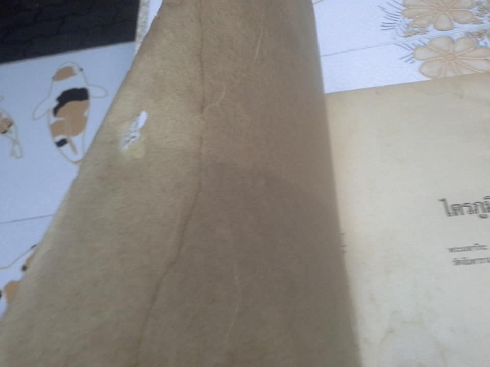 ไตรภูมิ โดย พระมหาวีระ ถาวโร วัดท่าซุง จ.อุทัยธานี