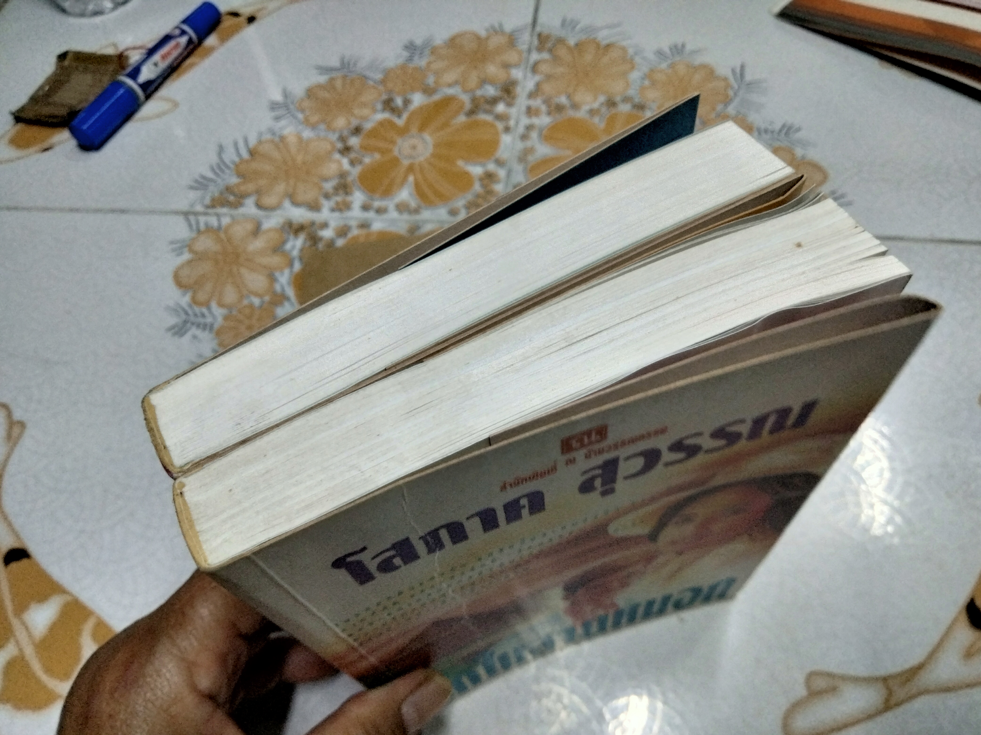 รักในสายหมอก (2 เล่มจบ) โสภาค สุวรรณ **สินค้าหมด**