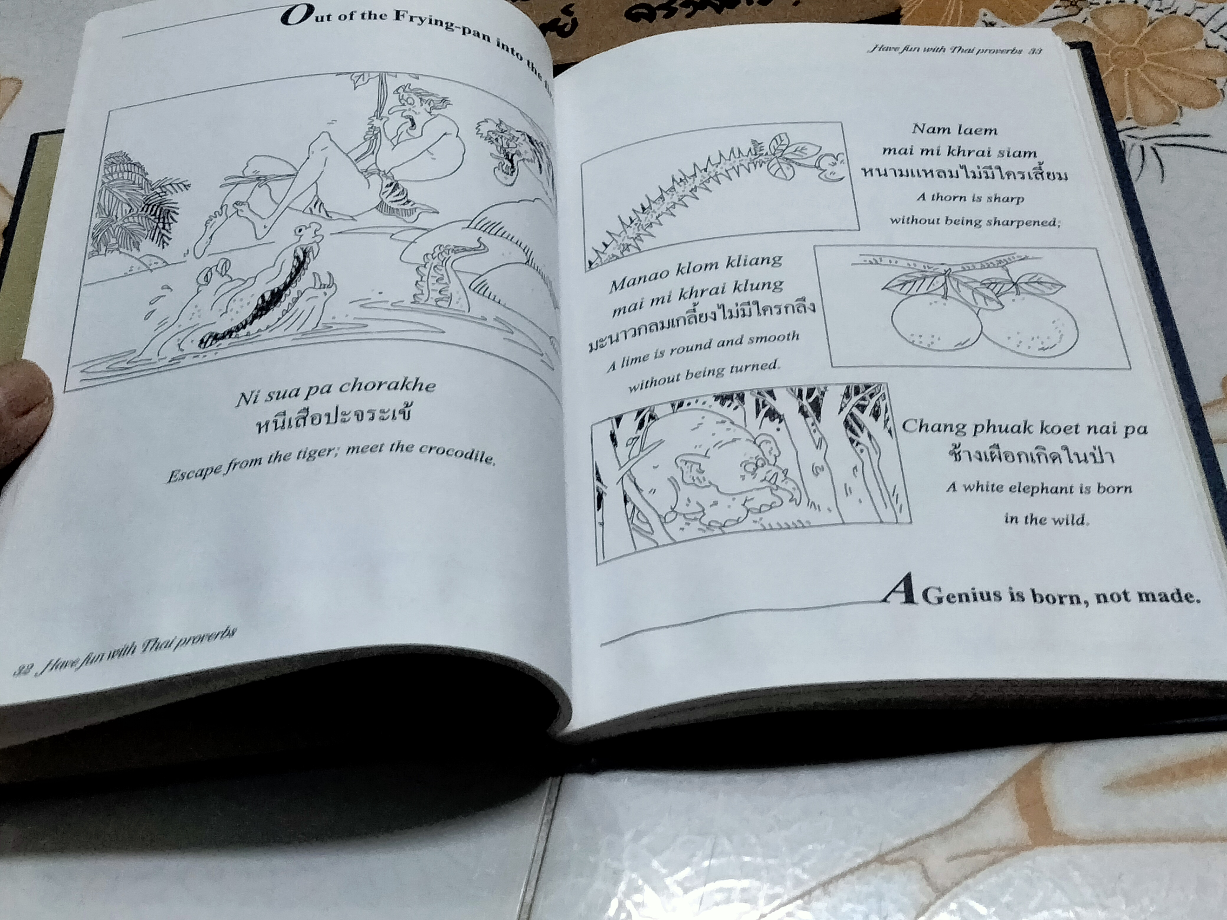 Have fun with Thai proverbs - Dr. Duangtip Somnapan Surintatip สนุกไปกับสุภาษิตไทย (2 ภาษาไทย อังกฤษ)