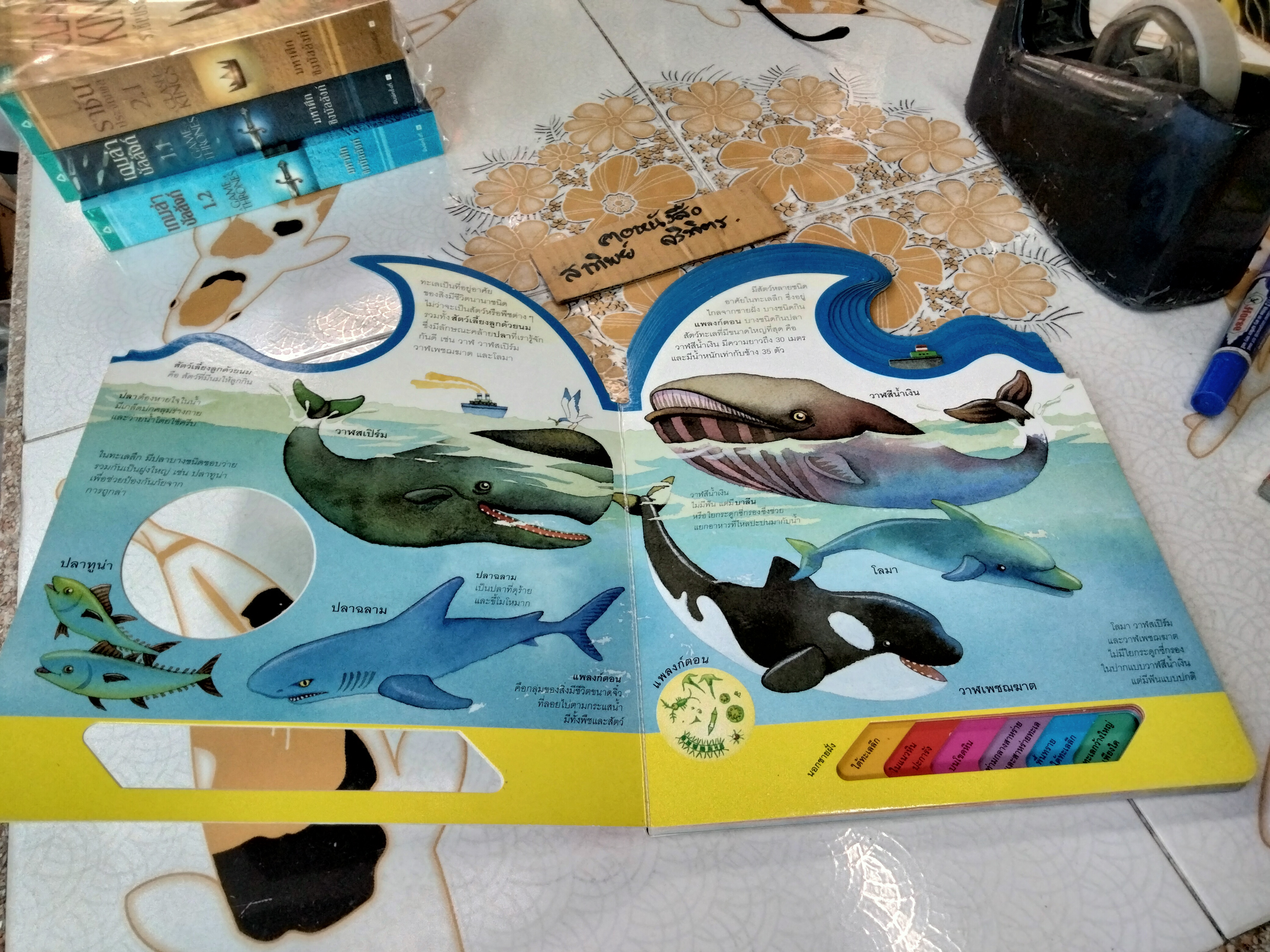 ในท้องทะเล - หนังสือชุดเรียนรู้โลกรอบตัว ชุดที่ 2 - สนพ. Happy Kids **สินค้าหมด**