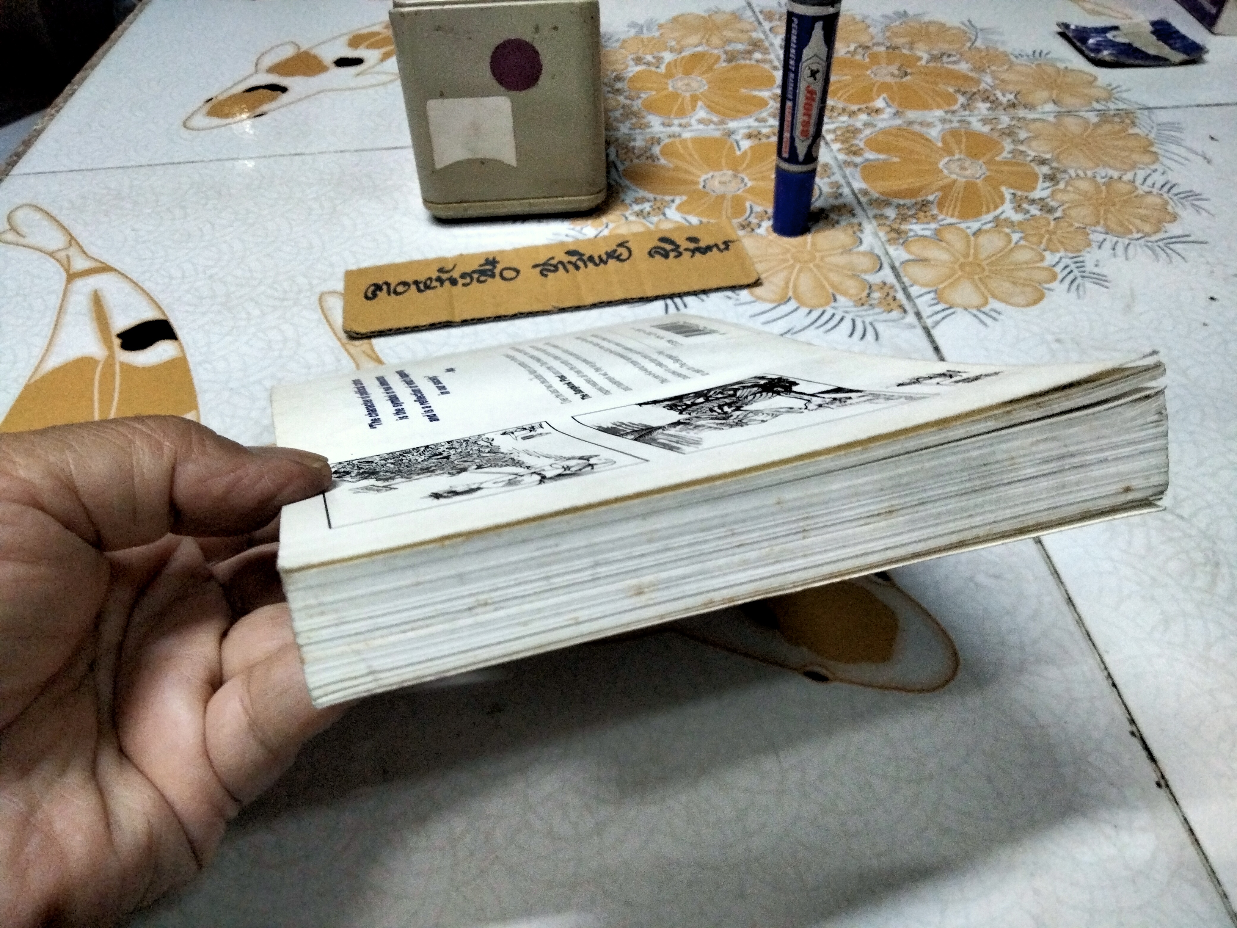 The Wonderful World of Nop หนังสือการ์ตูนล้อการเมือง โดย อรรณพ กิตติชัยวรรณ (แอ๊ด เดลินิวส์) **สินค้าหมด**