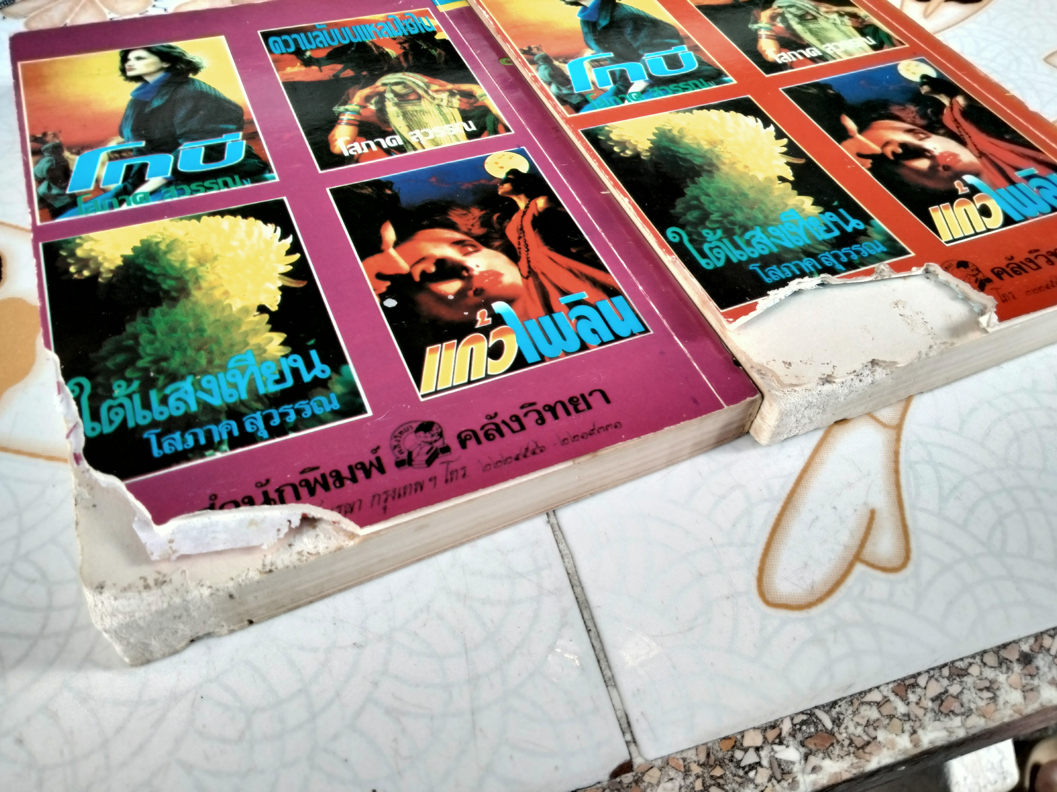 ญาติกา (2 เล่มจบ) - โสภาค สุวรรณ **ตำหนิโดนปลวกกิน **สินค้าหมด**