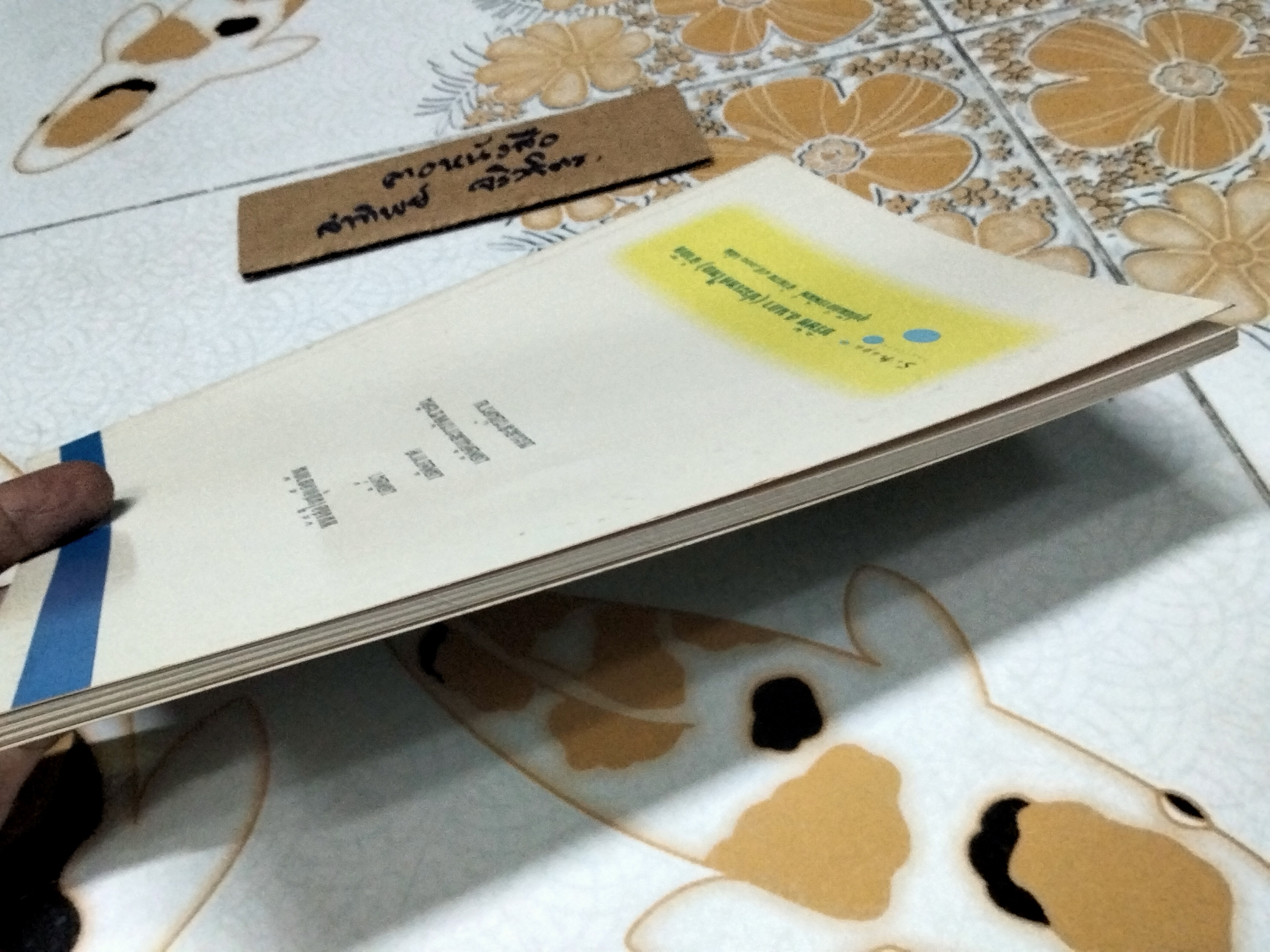 มลพิษอากาศ ...วรรณกรรมสำหรับเด็ก ธงชัย พรรณสวัสดิ์ เขียน ปรีดา ปัญญาจันทร์ , ชีวัน วิสาสะ วาดภาพ