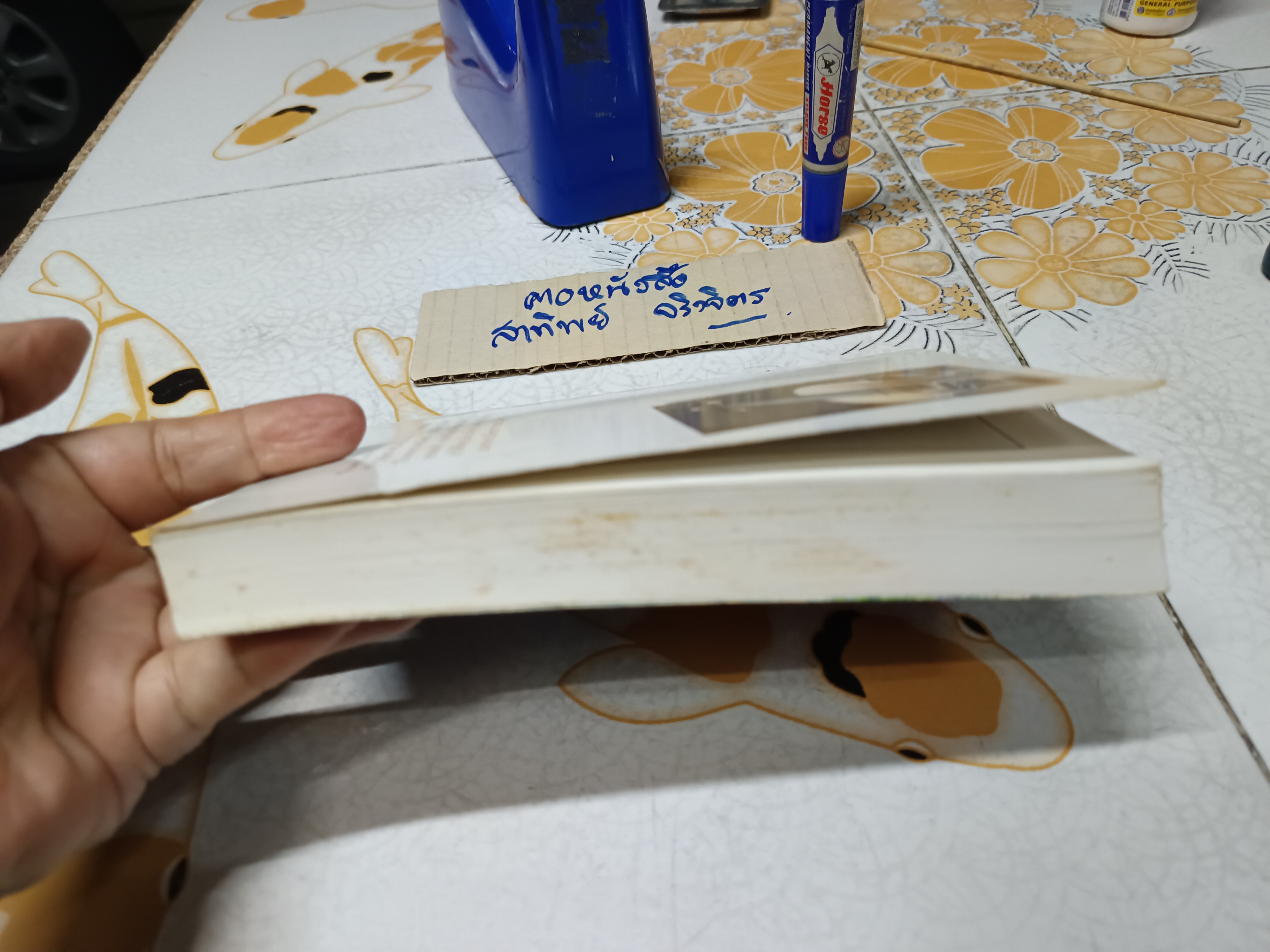 รักซ้อน คอนแชร์โต (Wild Concerto) ผลงานของ Anne Mather แปลโดย นิดา