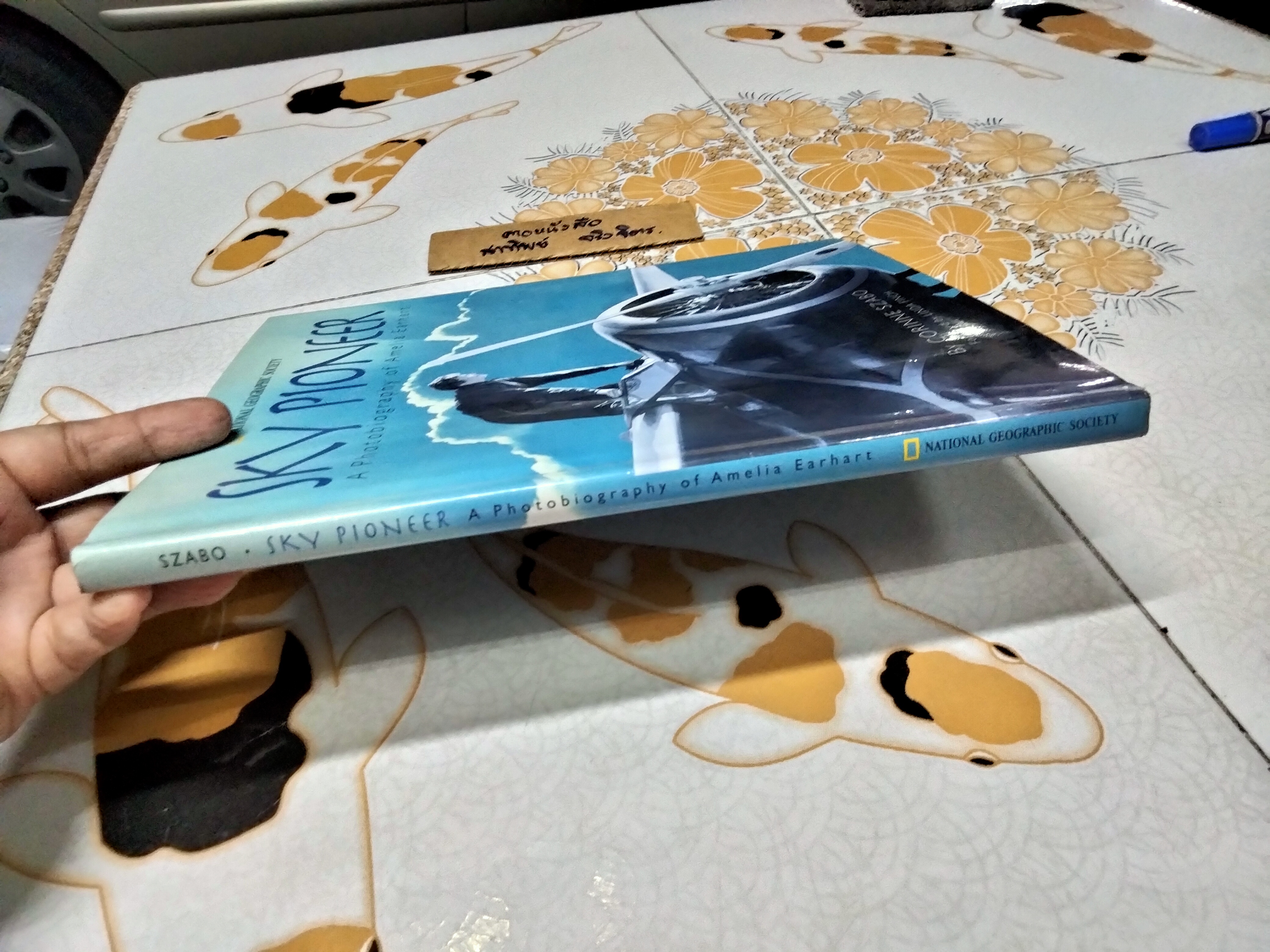 SKY PIONEER : A Photobiography of Amelia Earhart by CORINNE SZABO