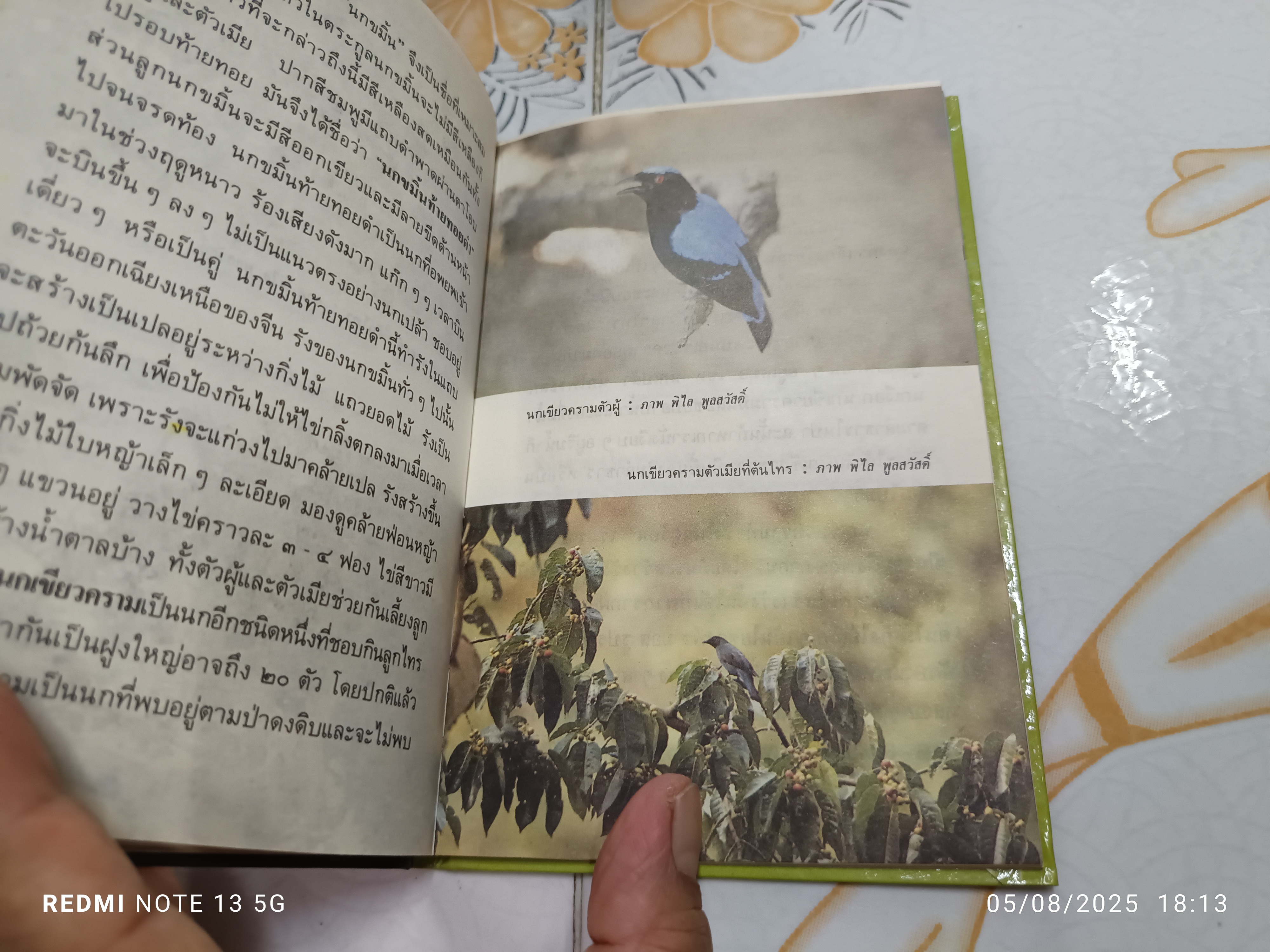 นกป่า โดย พิไล พูลสวัสดิ์ พิมพ์ครั้งที่ 1 ปี 2532 หนังสือชุดความรู้ไทยขององค์การค้าคุรุสภา