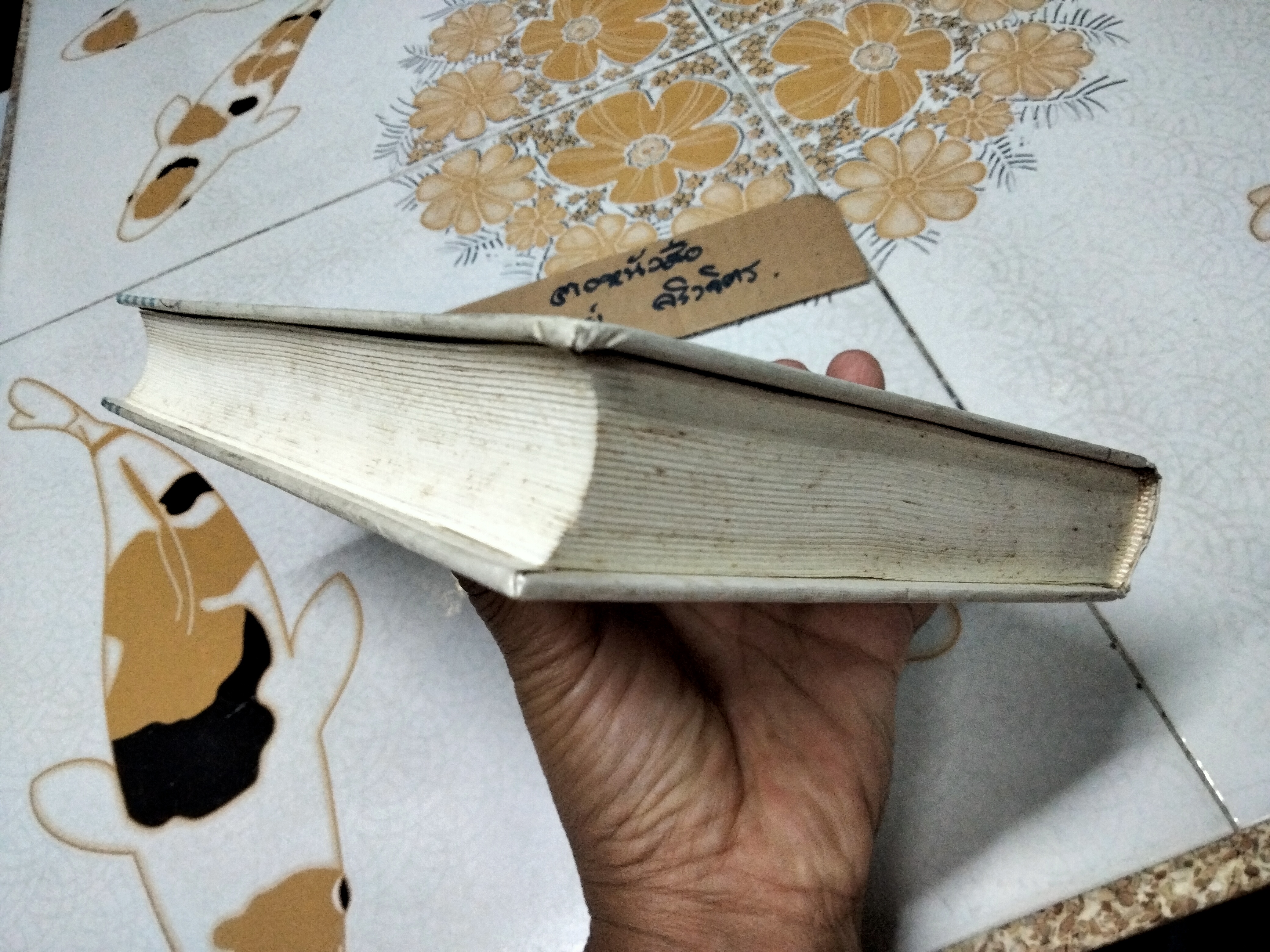 Digital Television - A Practical Guide for Engineer by Walter Fischer