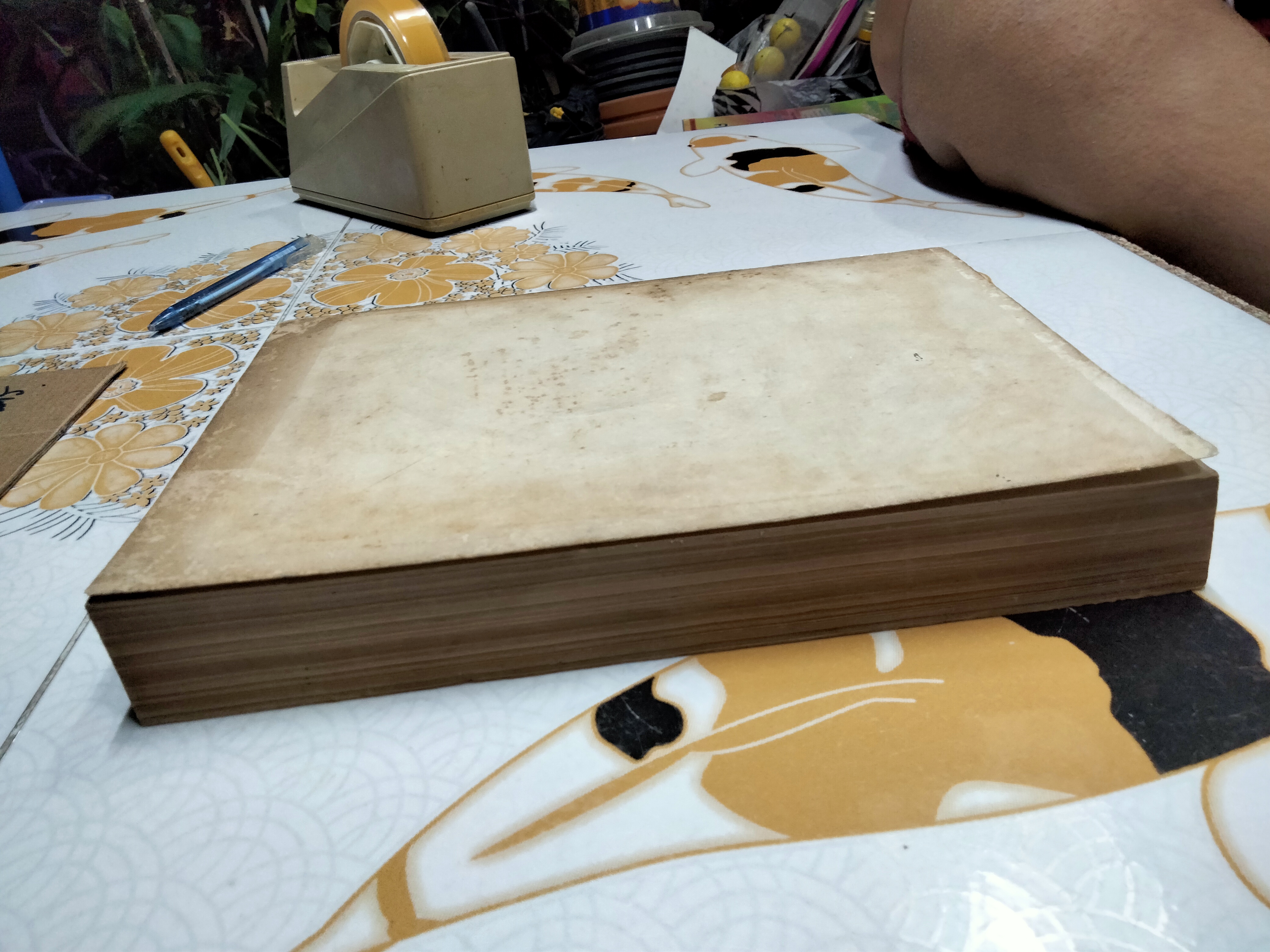 ภูมิวิลาสินี โดย พระศรีวิสุทธิ์โสภณ **สินค้าหมด**