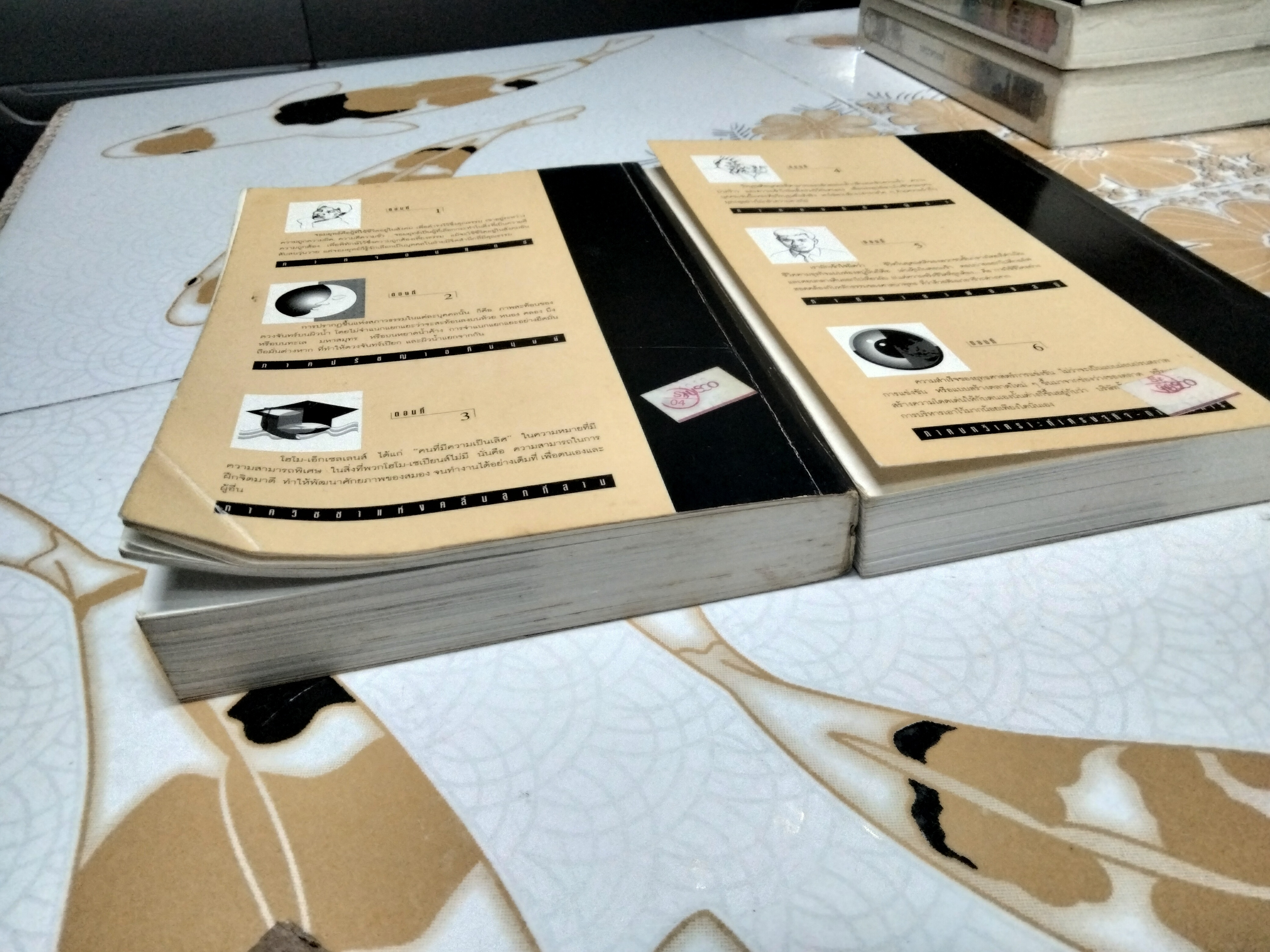 มองอย่างตะวันออก (เล่ม 1-2) - สุวินัย ภรณวลัย