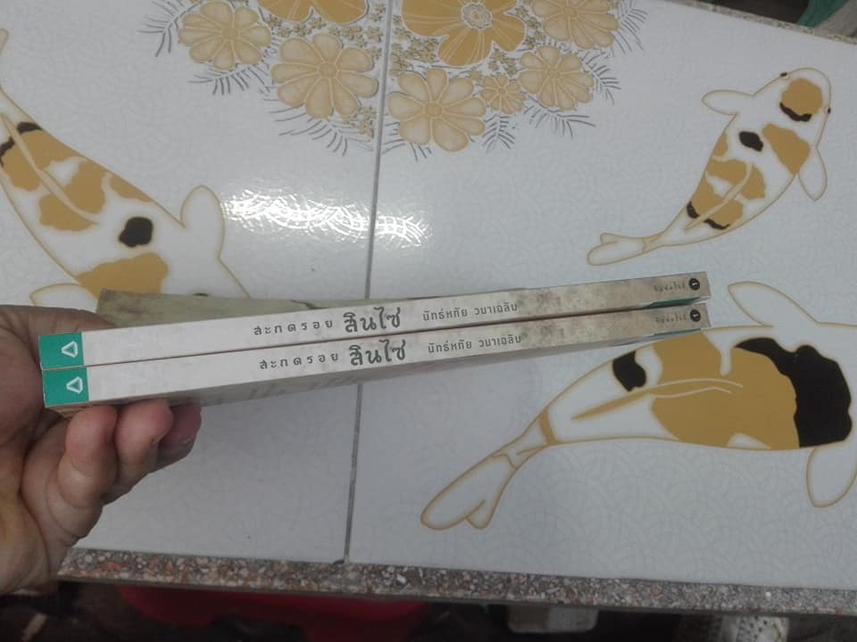 สะกดรอยสินไซ โดย สพ.ญ. นัทธ์หทัย วนาเฉลิม **สินค้าหมด**