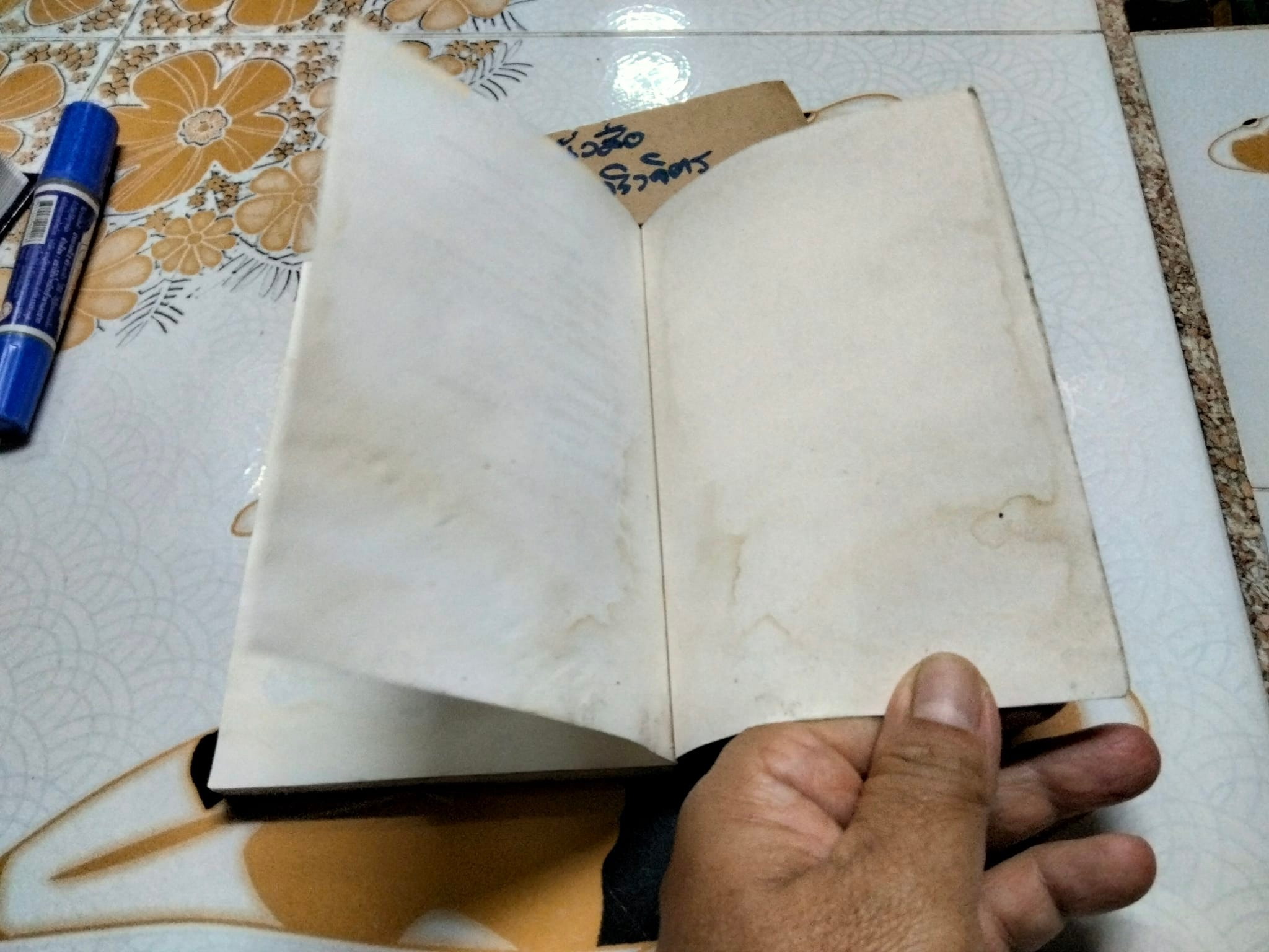 ฟ้าสางที่กลางดง - เชิญอักษร (หนังสือโดนน้ำ) **สินค้าหมด**