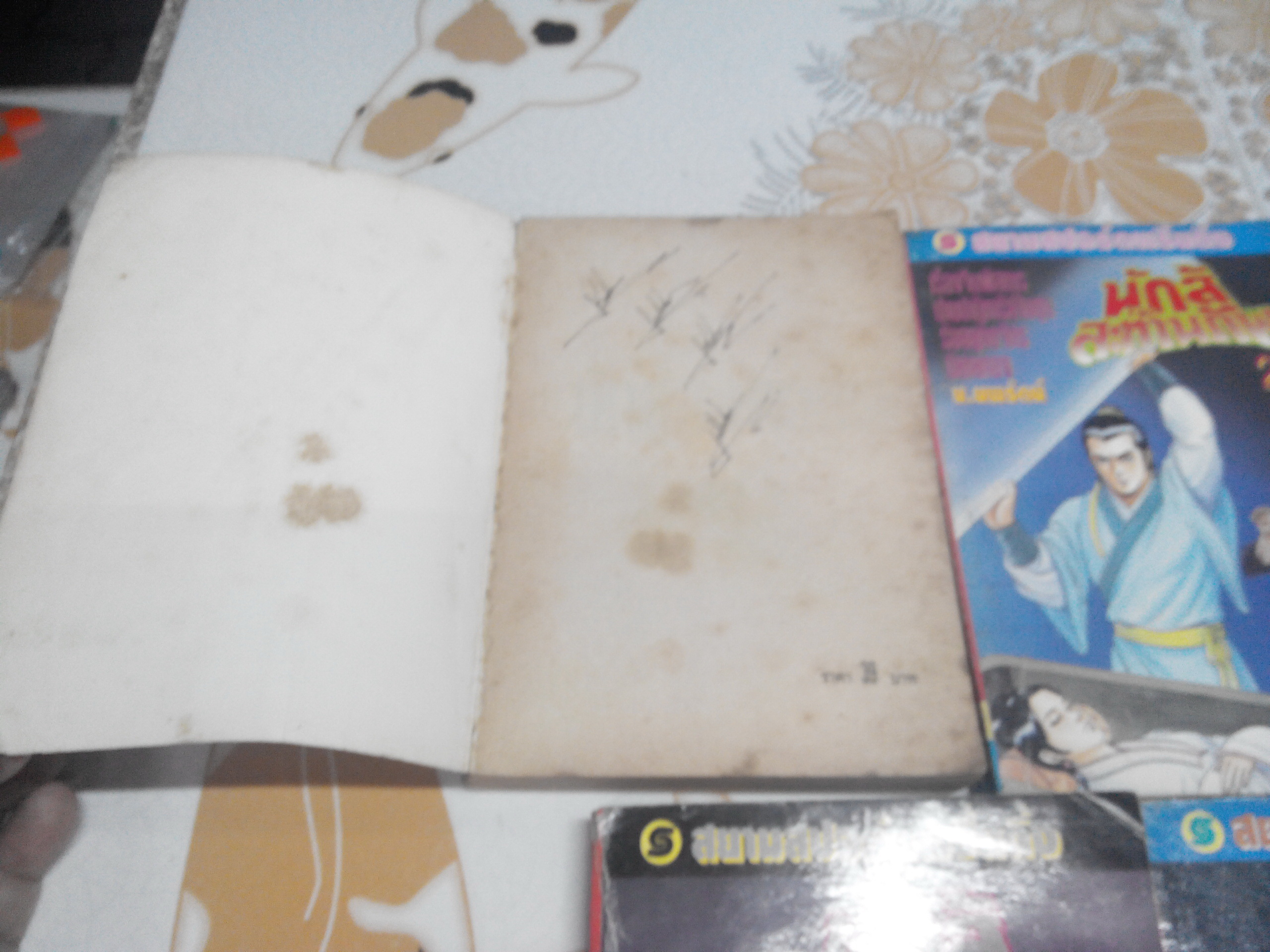 นักสู้สะท้านภพ (5 เล่มจบ) ซีเบ๊จี่อิง แต่ง, น. นพรัตน์ แปล พิมพ์ 2 /2537 **สินค้าหมด**