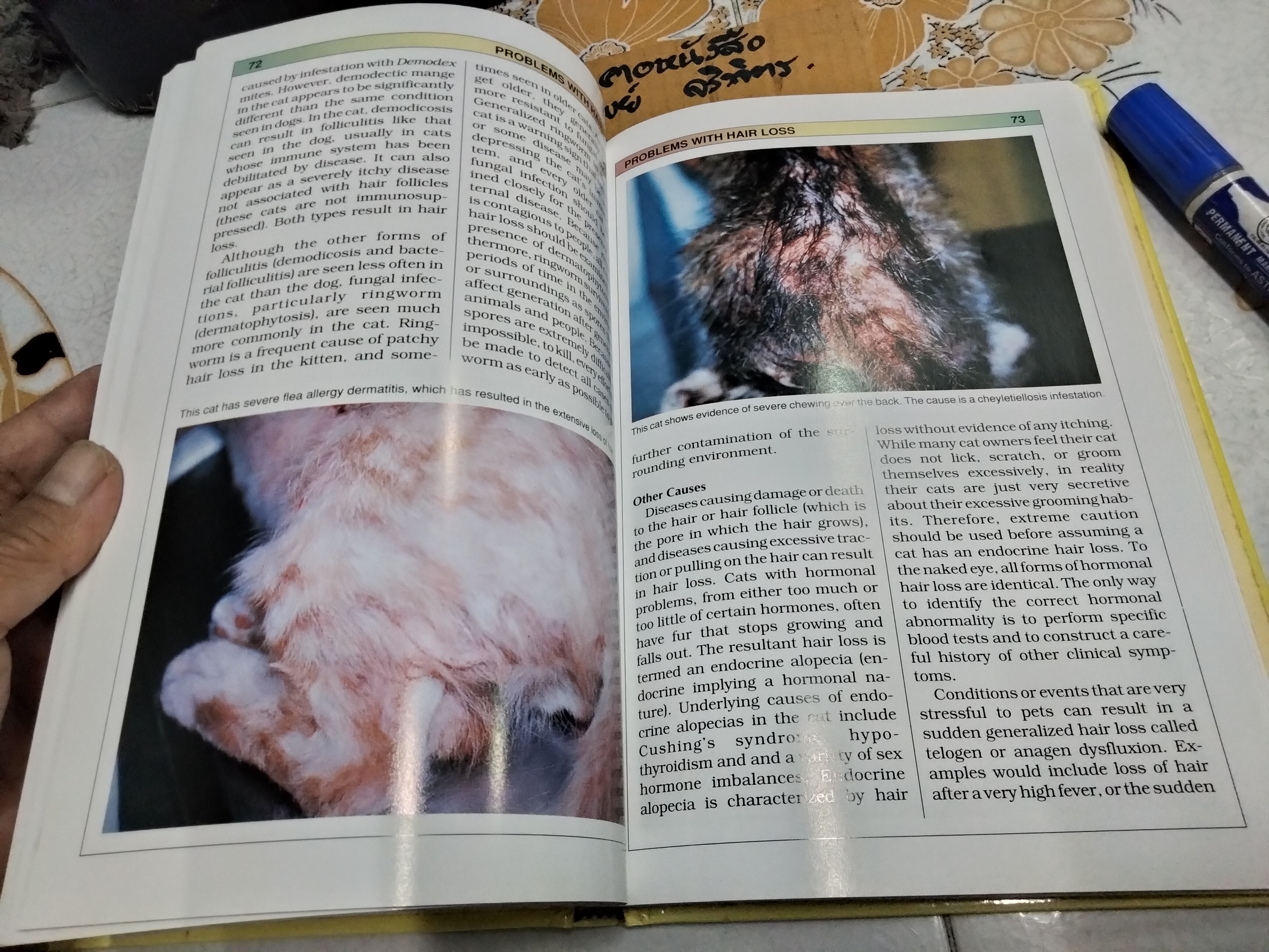 Skin & Coat Care for Your Cat Compiled by Lowell Ackerman