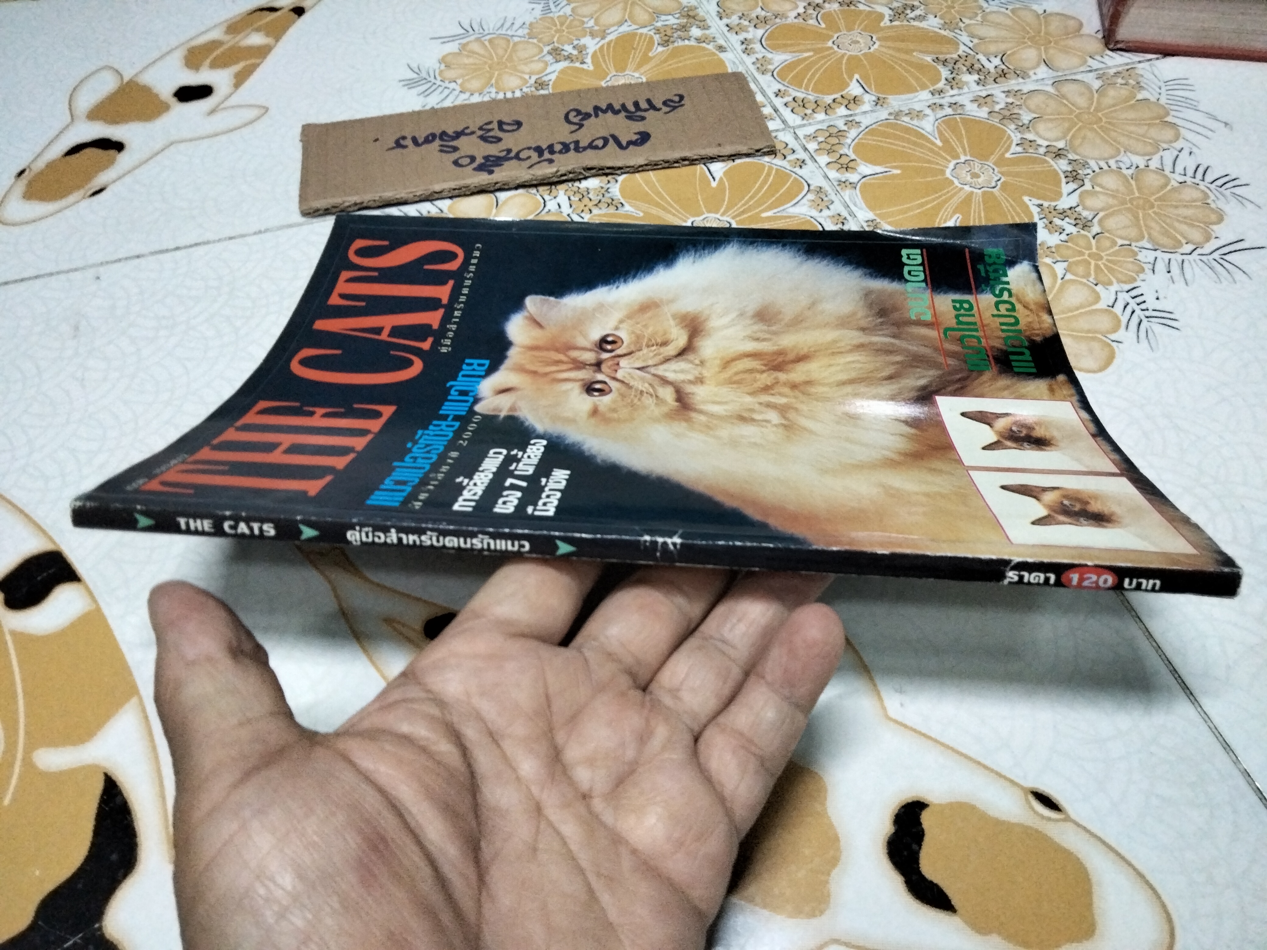 THE CATS คู่มือสำหรับคนรักแมว **สินค้าหมด**